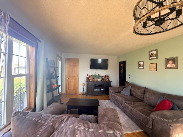 50976 N Main Eleva WI 54738 1942890 image9