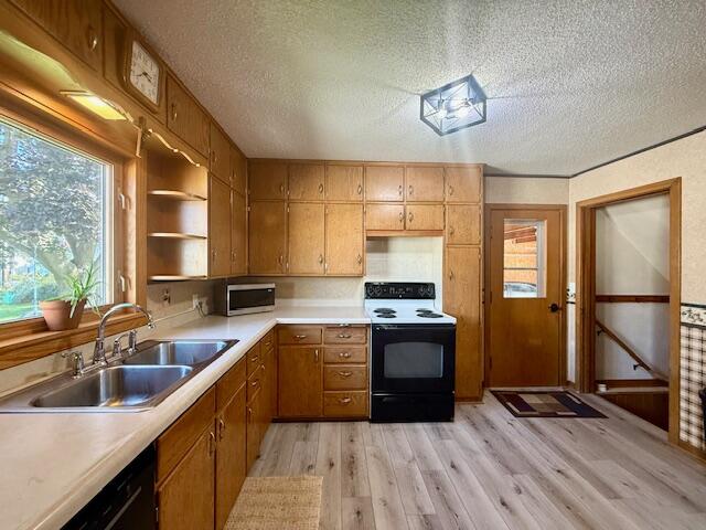 524 Kingston Caledonia MN 55921 1937342 image2