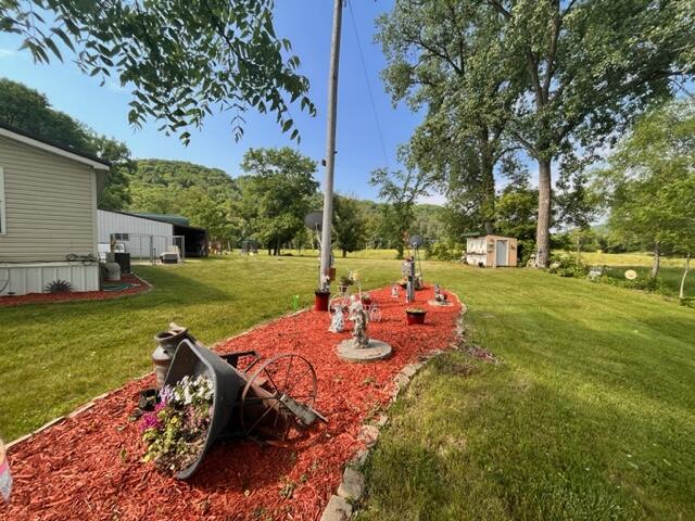 5349 COUNTY 249 Crooked Creek MN 55921 1837284 image43