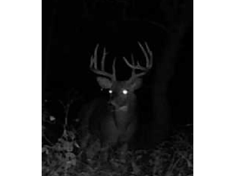 54008 Valentine Eastman WI 53826 1912101 image10