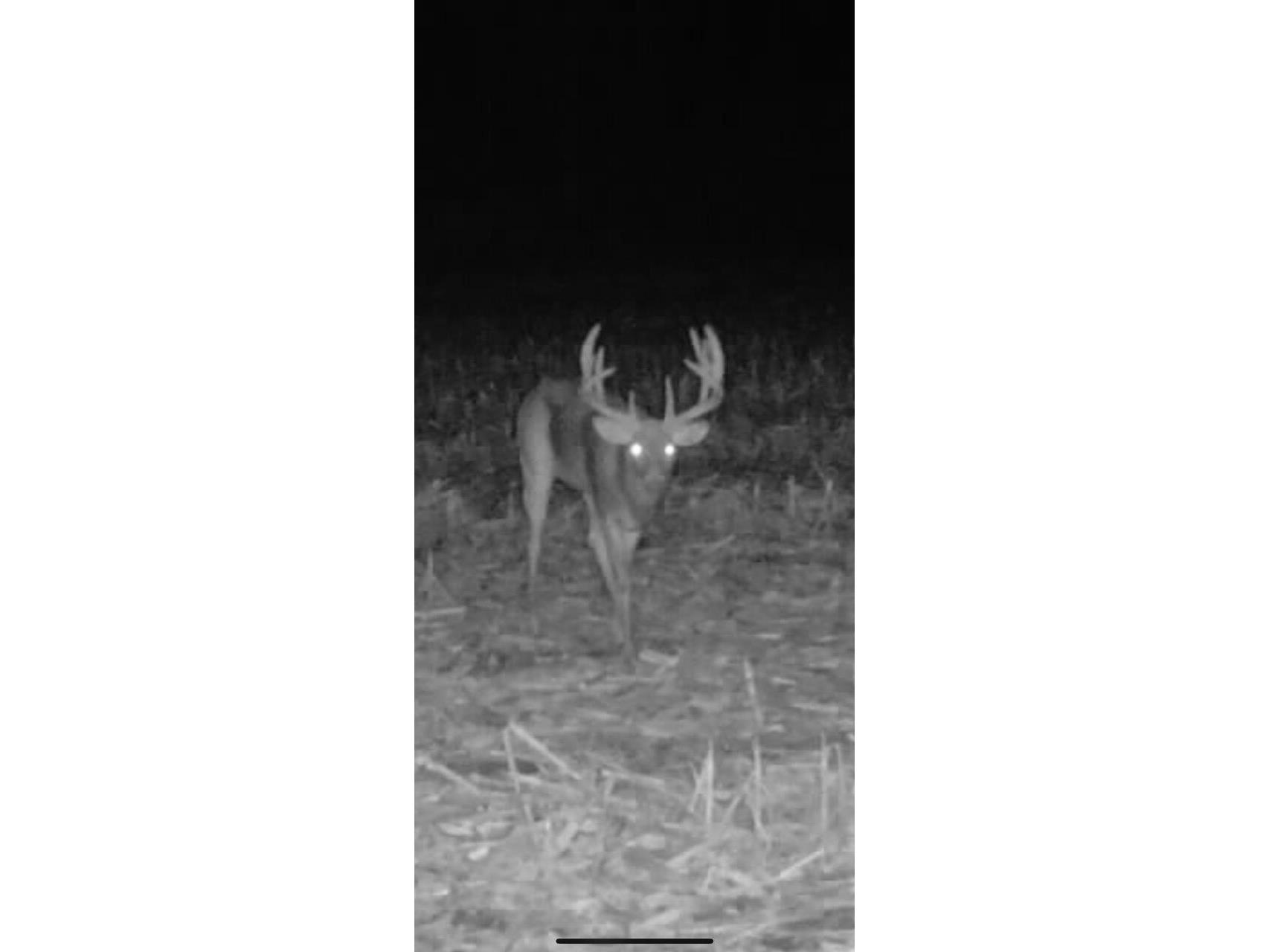 54008 Valentine Eastman WI 53826 1912101 image11