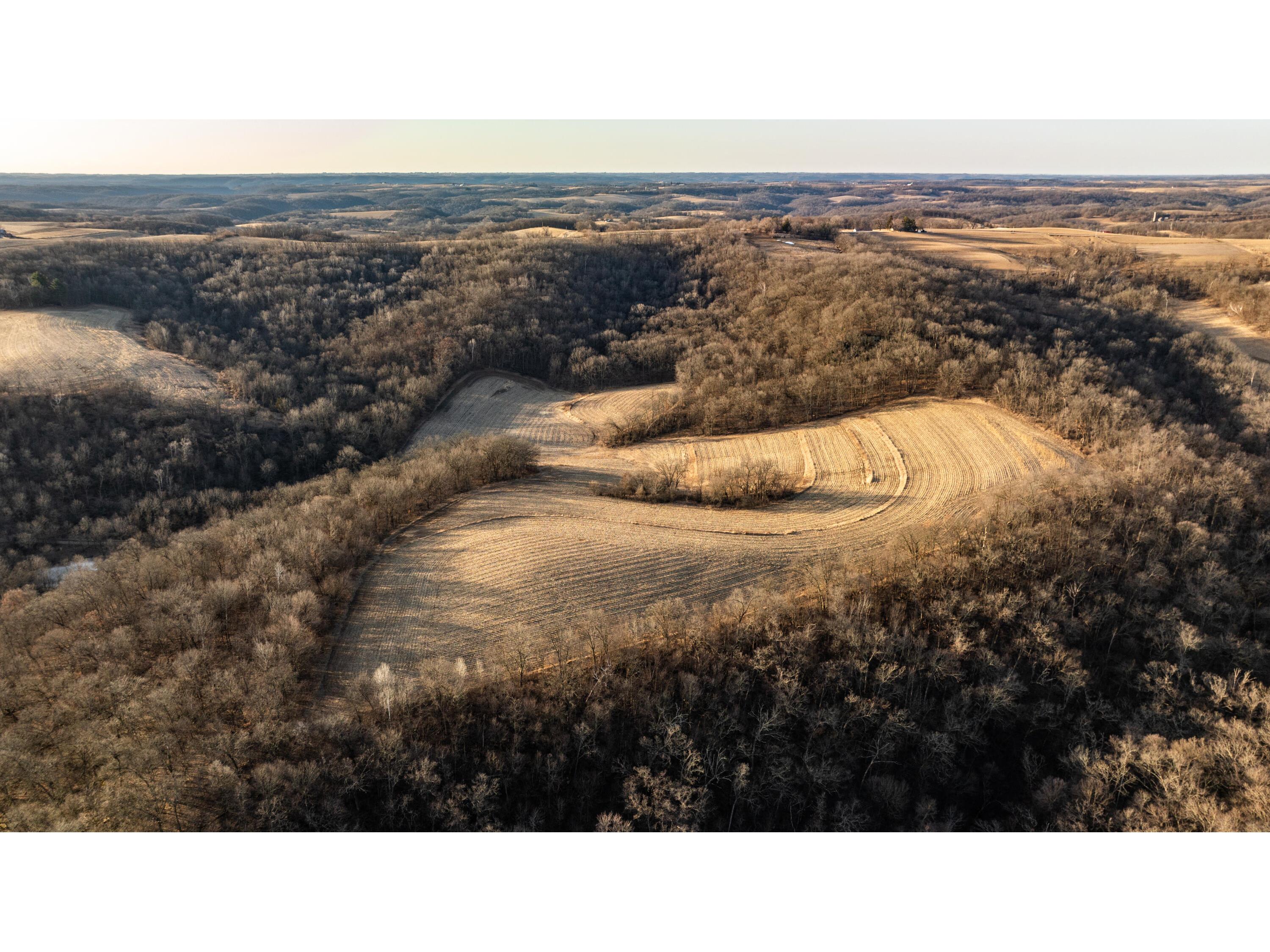 54008 Valentine Eastman WI 53826 1912101 image14