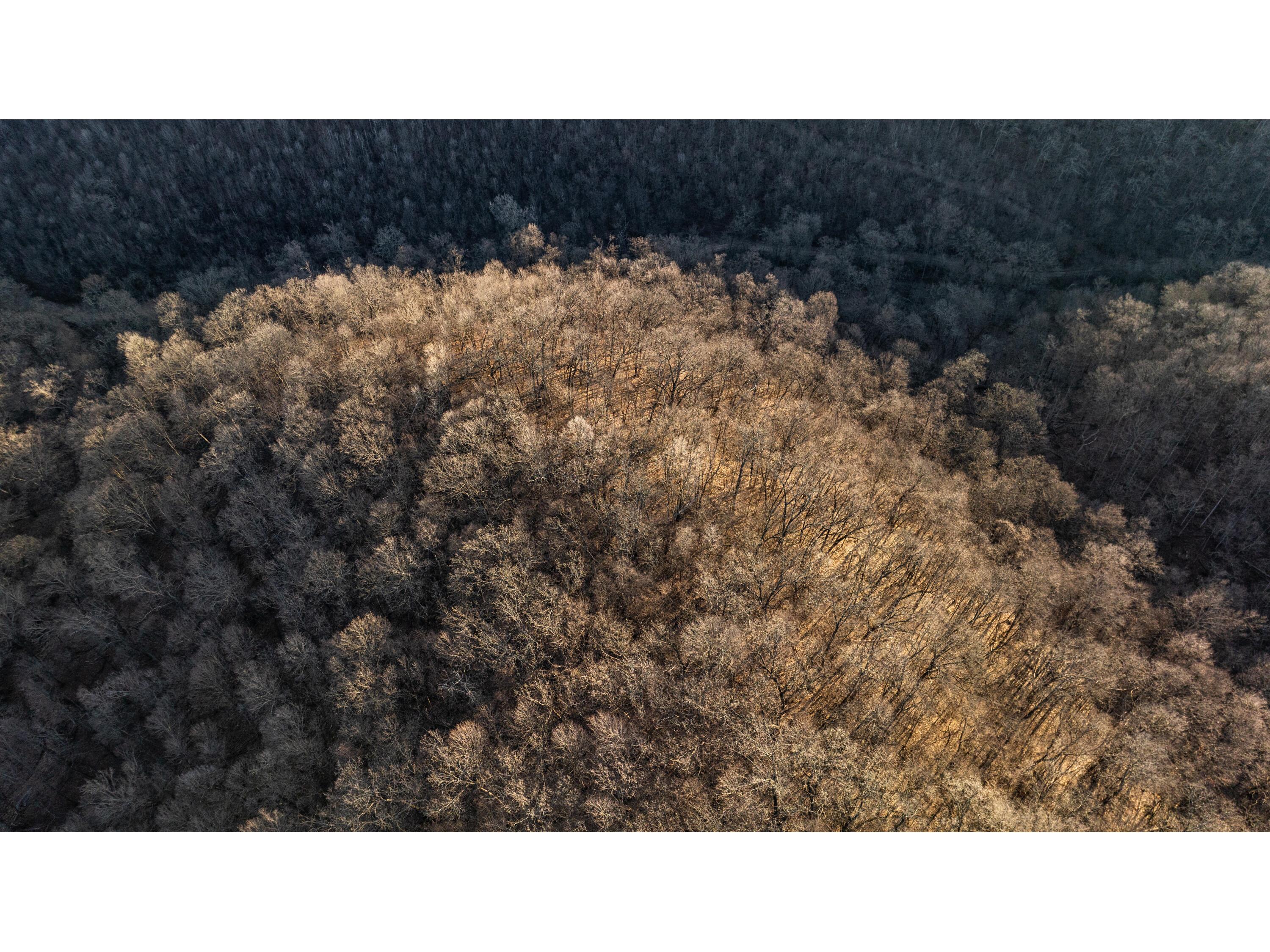 54008 Valentine Eastman WI 53826 1912101 image15