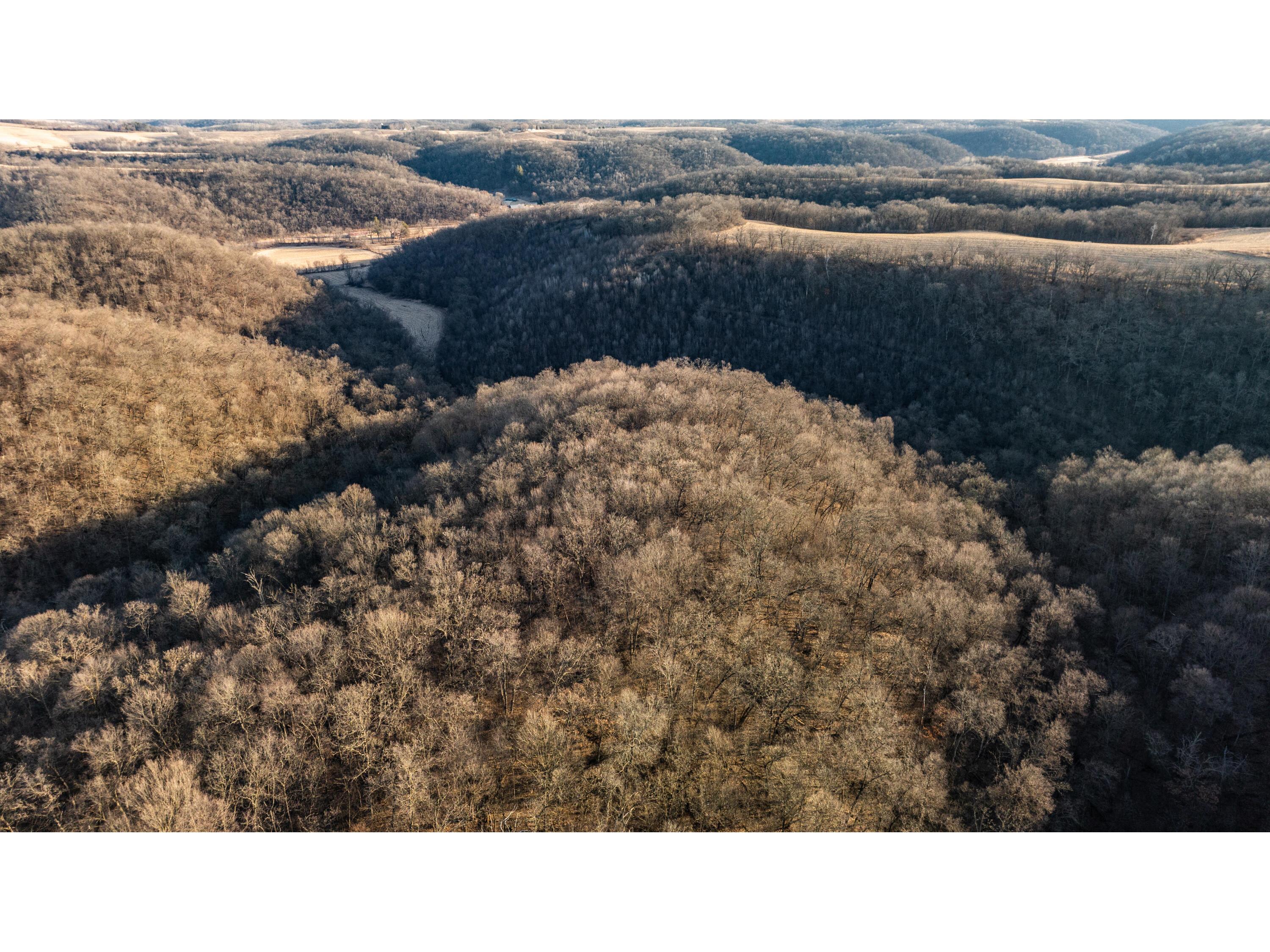 54008 Valentine Eastman WI 53826 1912101 image16