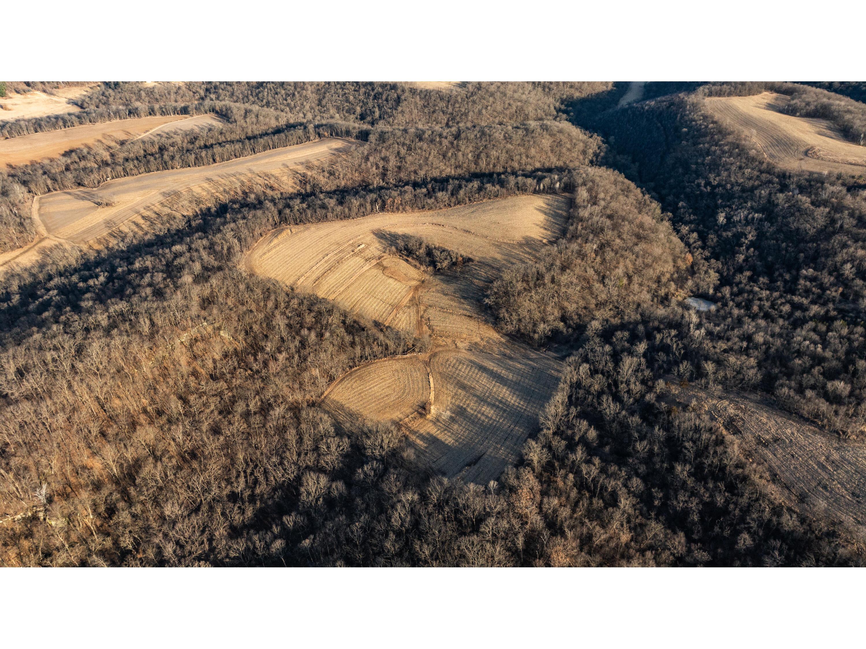 54008 Valentine Eastman WI 53826 1912101 image2