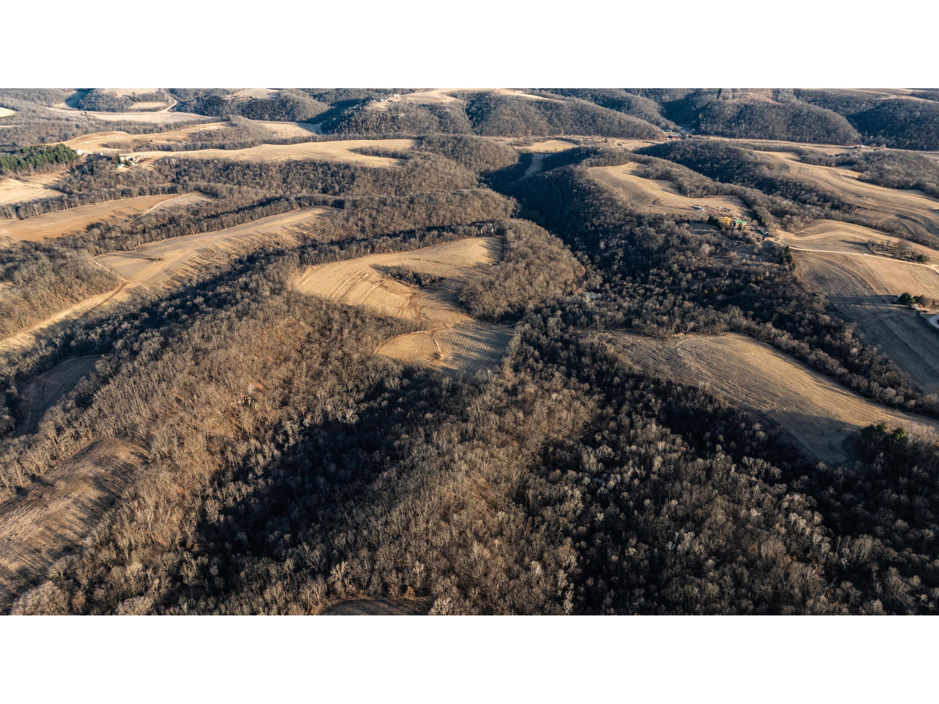 54008 Valentine Eastman WI 53826 1912101 image21