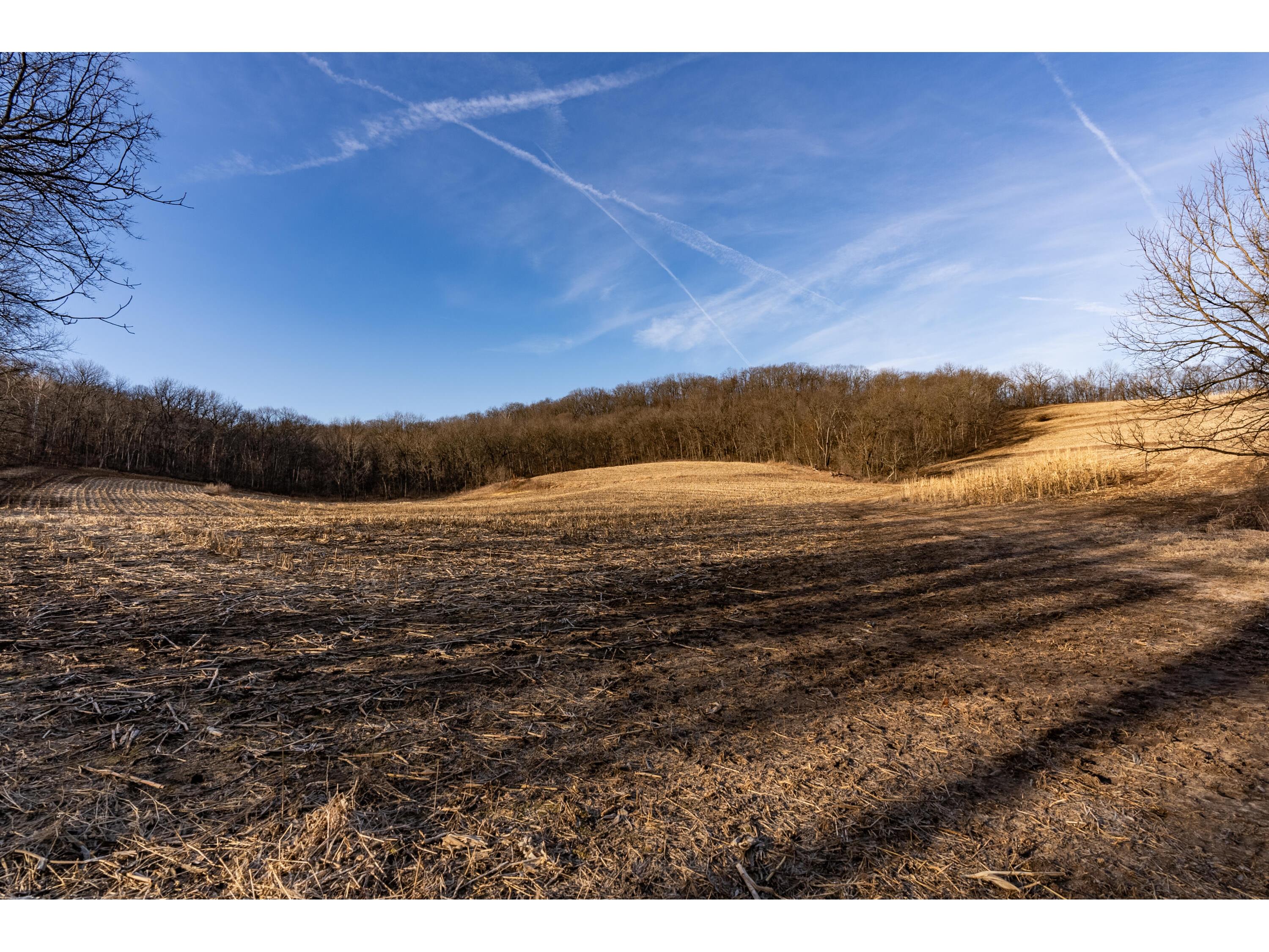 54008 Valentine Eastman WI 53826 1912101 image28