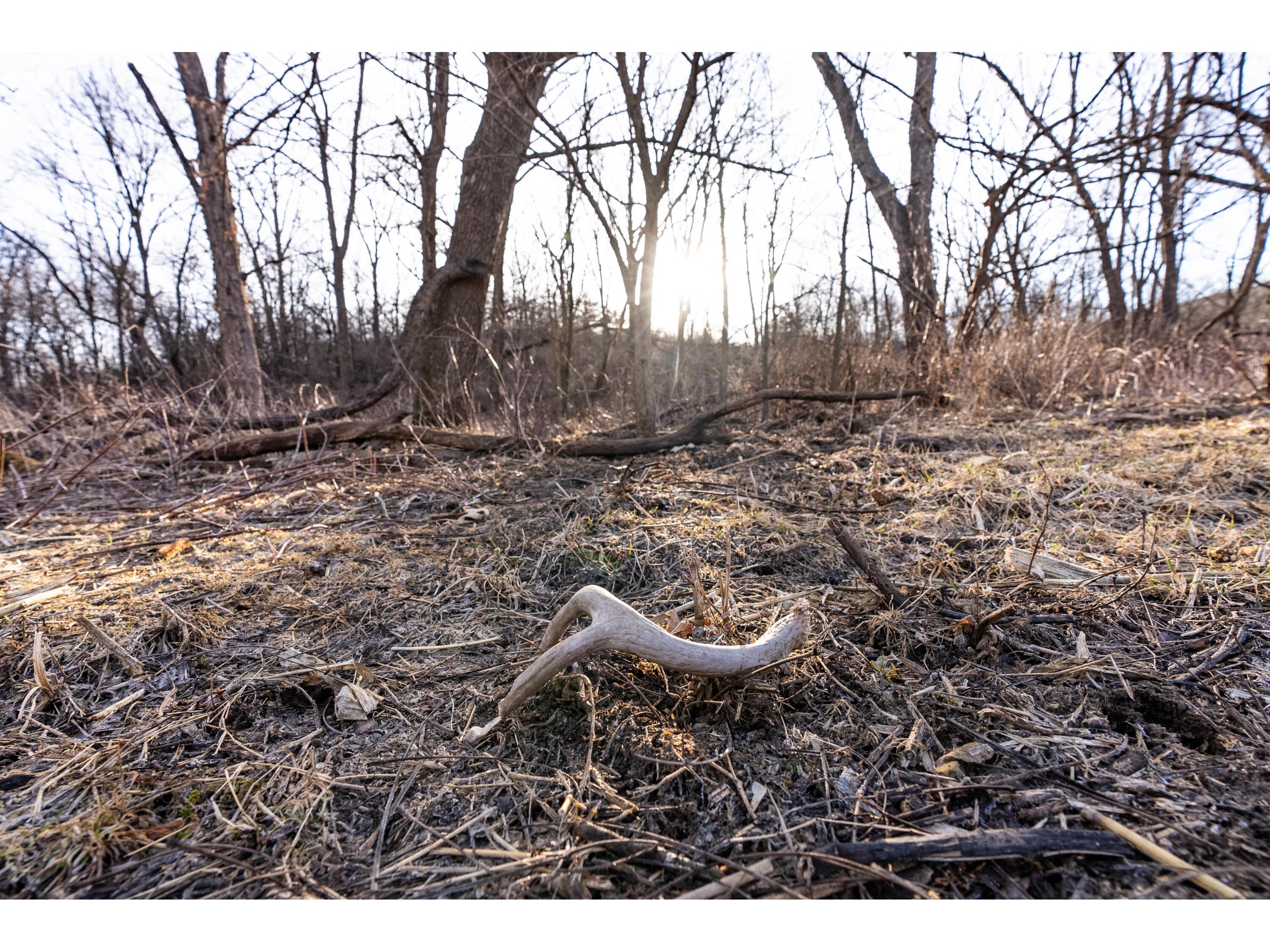 54008 Valentine Eastman WI 53826 1912101 image30