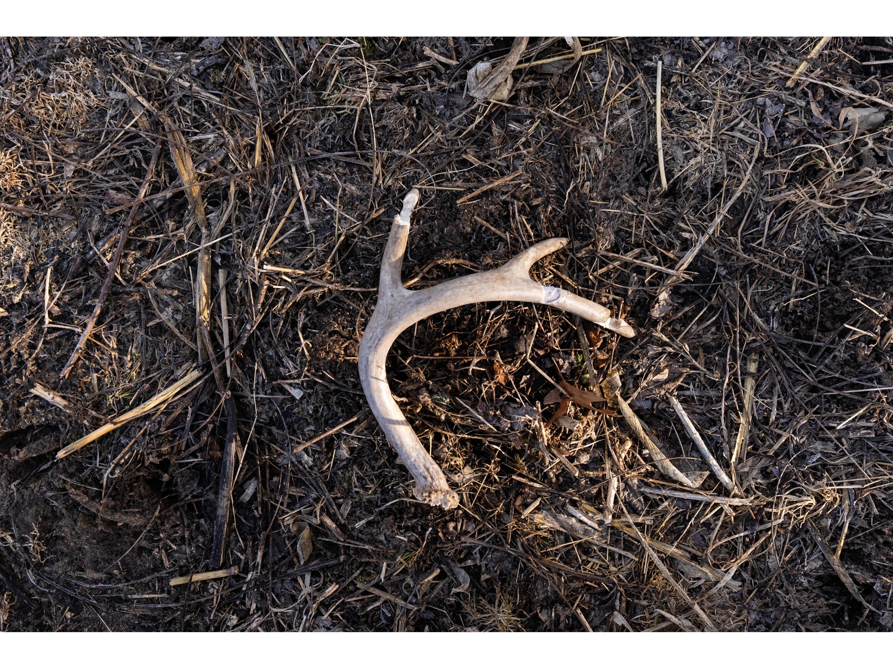 54008 Valentine Eastman WI 53826 1912101 image31