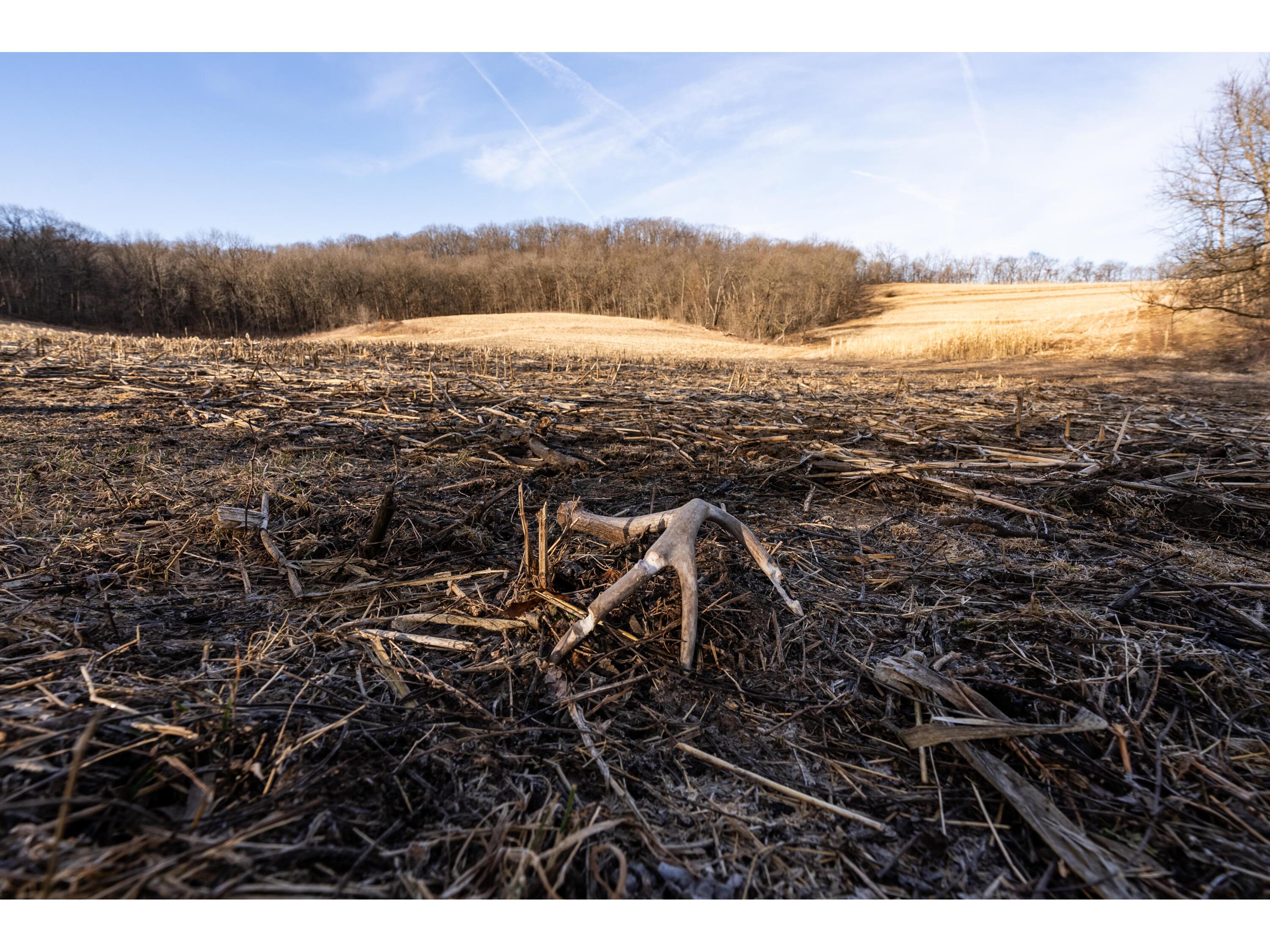 54008 Valentine Eastman WI 53826 1912101 image32