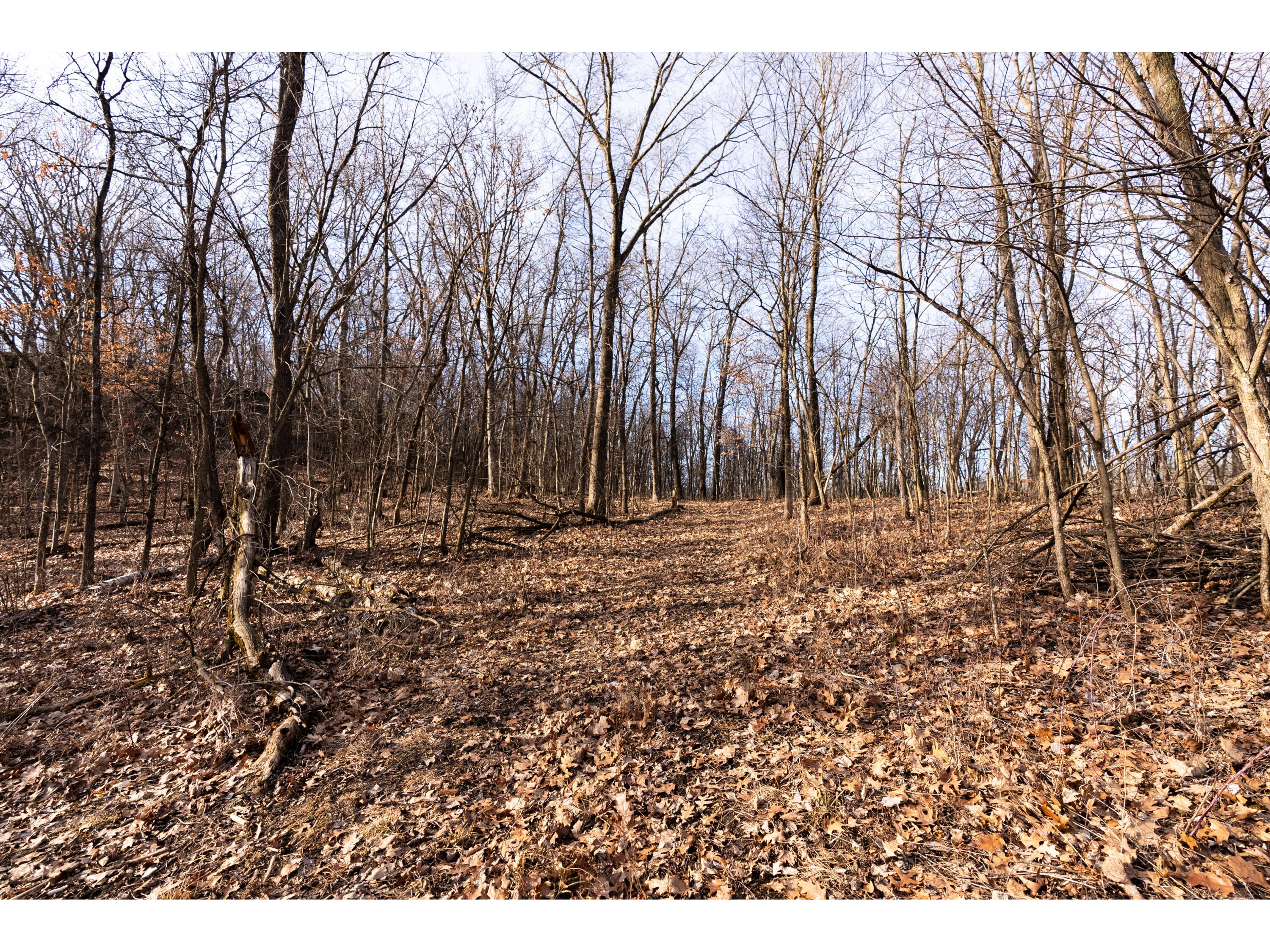 54008 Valentine Eastman WI 53826 1912101 image33