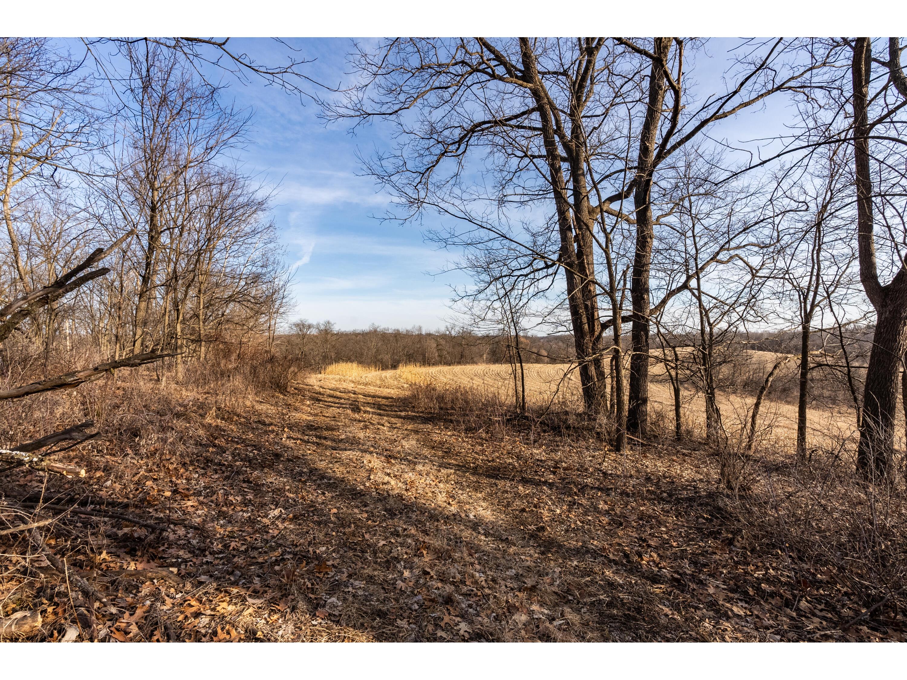 54008 Valentine Eastman WI 53826 1912101 image34