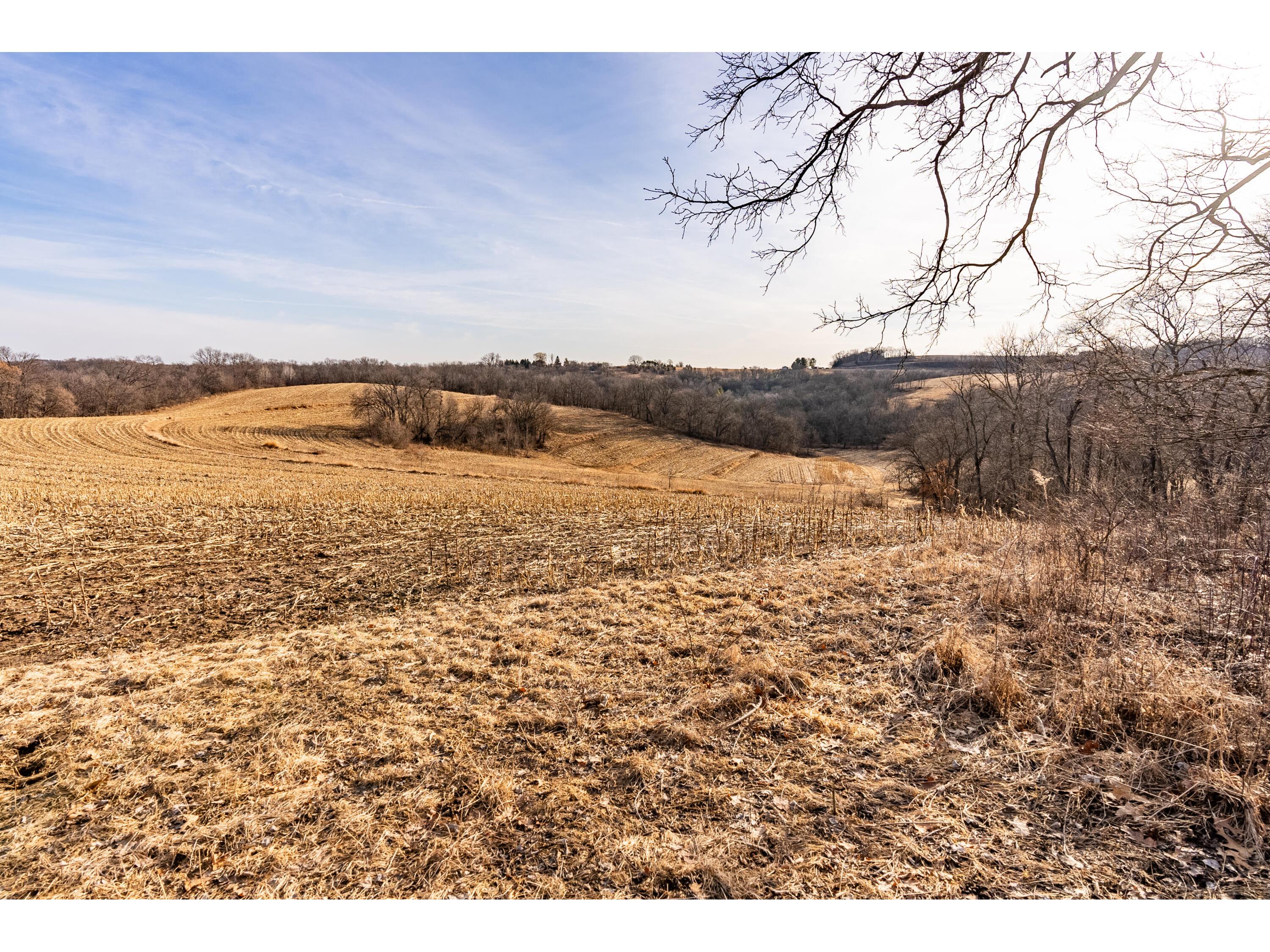 54008 Valentine Eastman WI 53826 1912101 image36