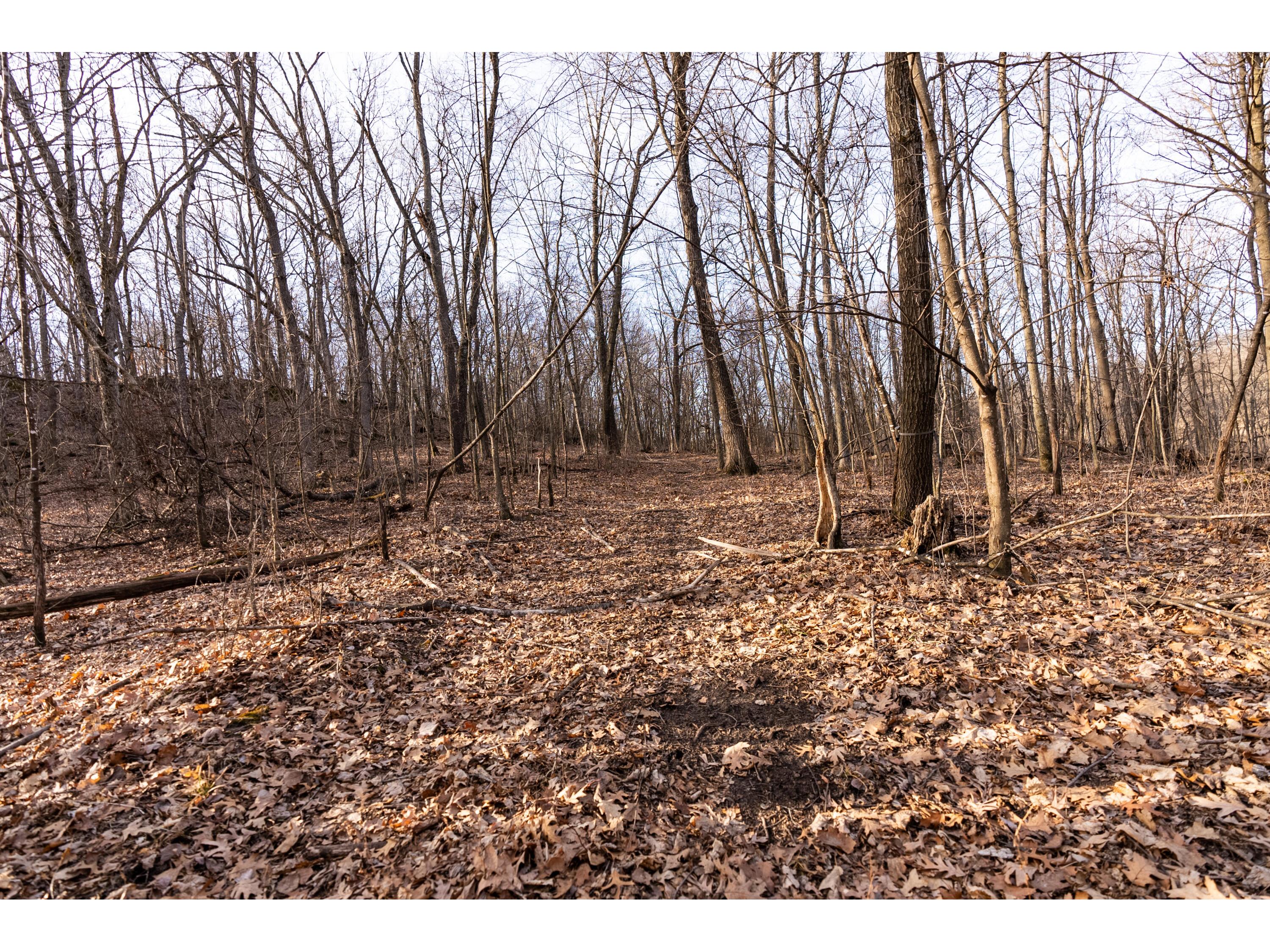 54008 Valentine Eastman WI 53826 1912101 image37