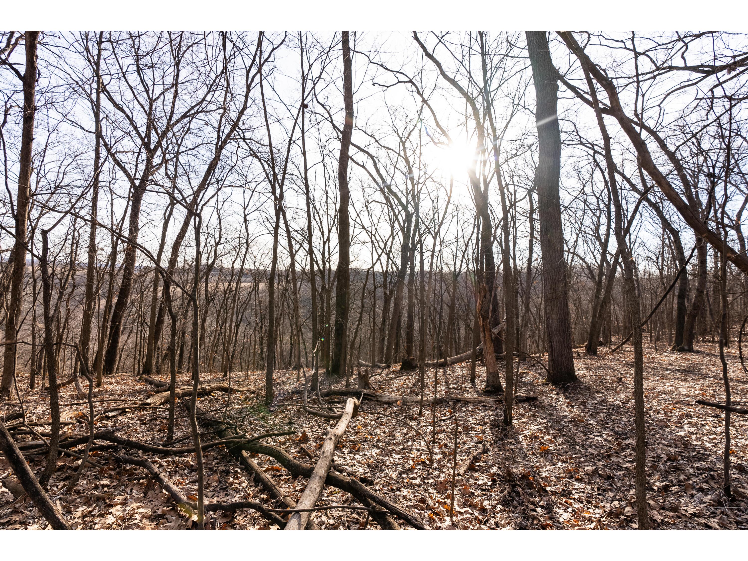 54008 Valentine Eastman WI 53826 1912101 image38