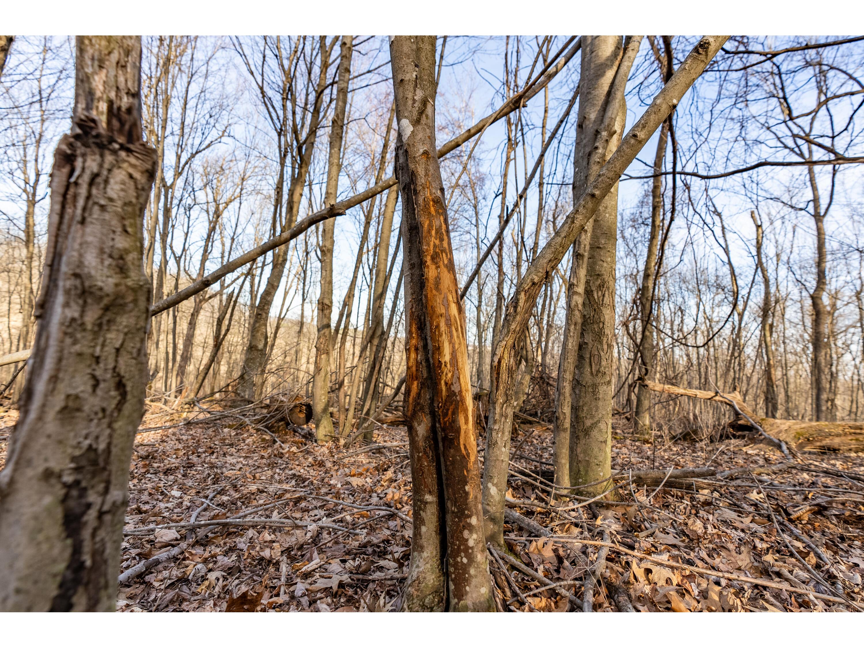 54008 Valentine Eastman WI 53826 1912101 image40