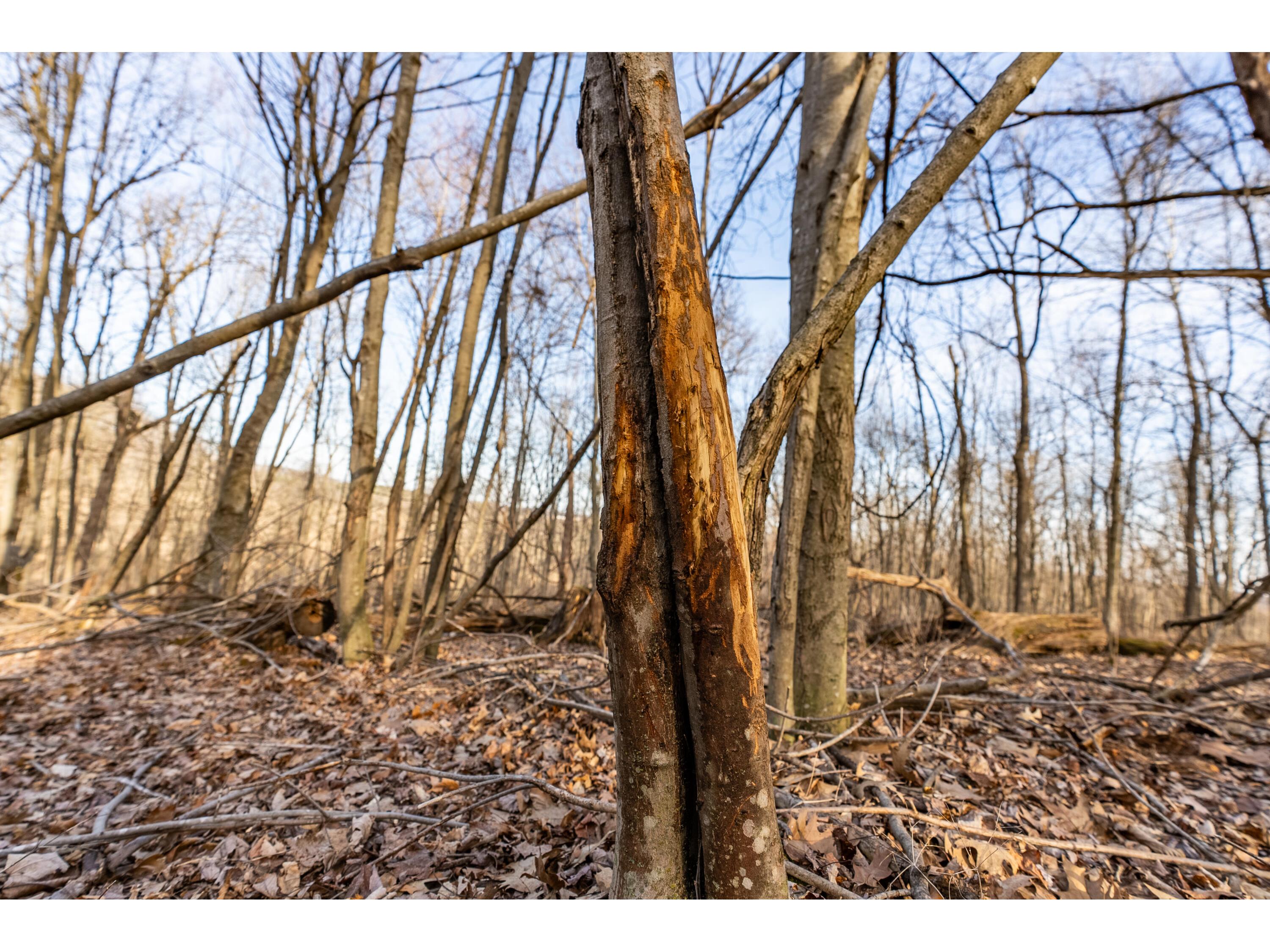 54008 Valentine Eastman WI 53826 1912101 image41