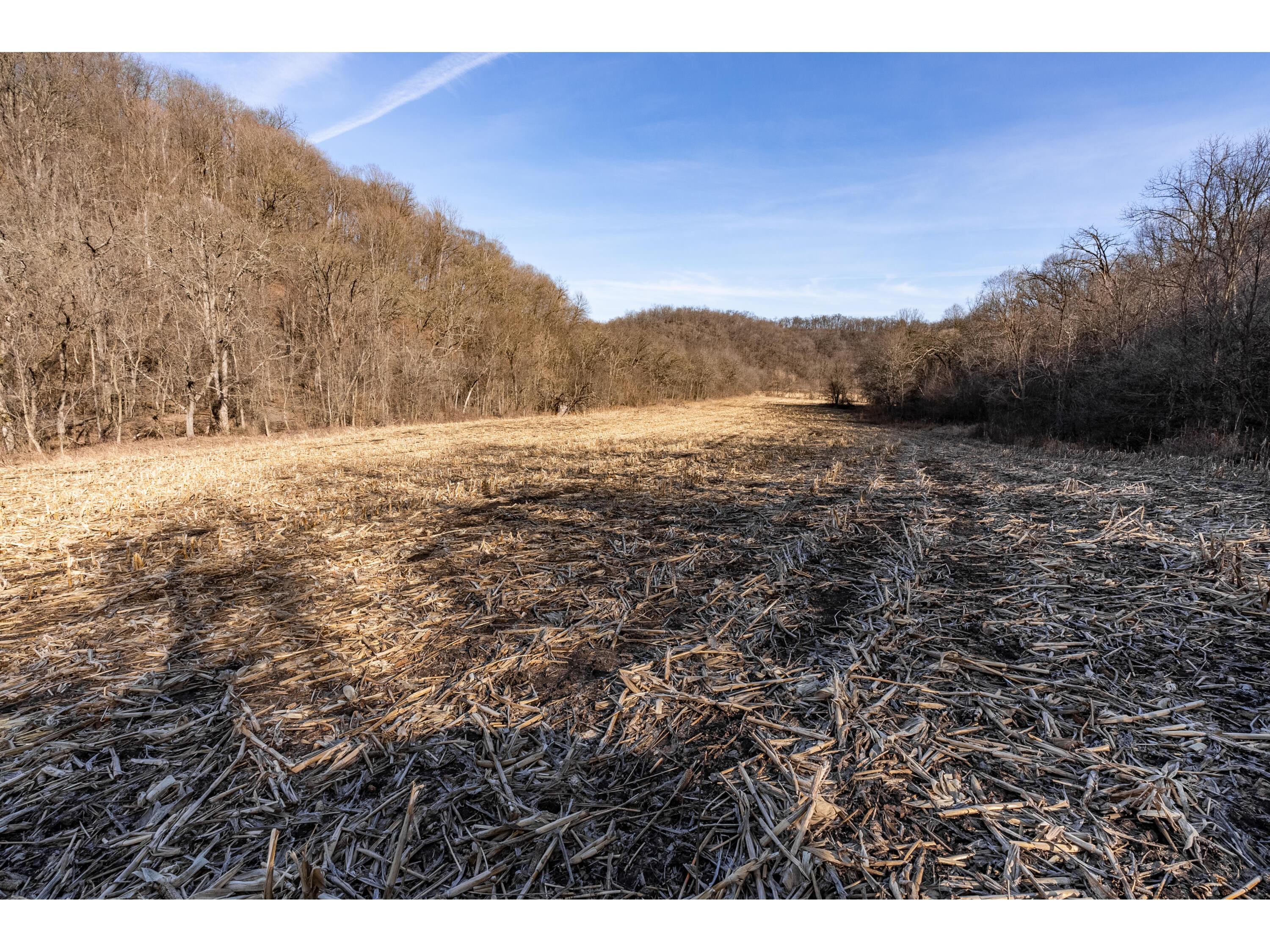 54008 Valentine Eastman WI 53826 1912101 image42