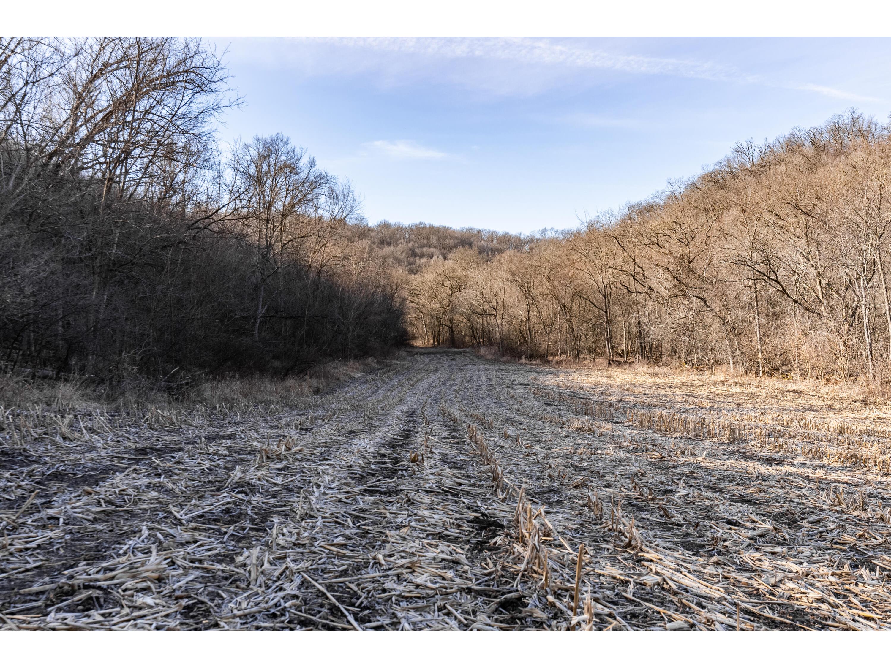 54008 Valentine Eastman WI 53826 1912101 image43