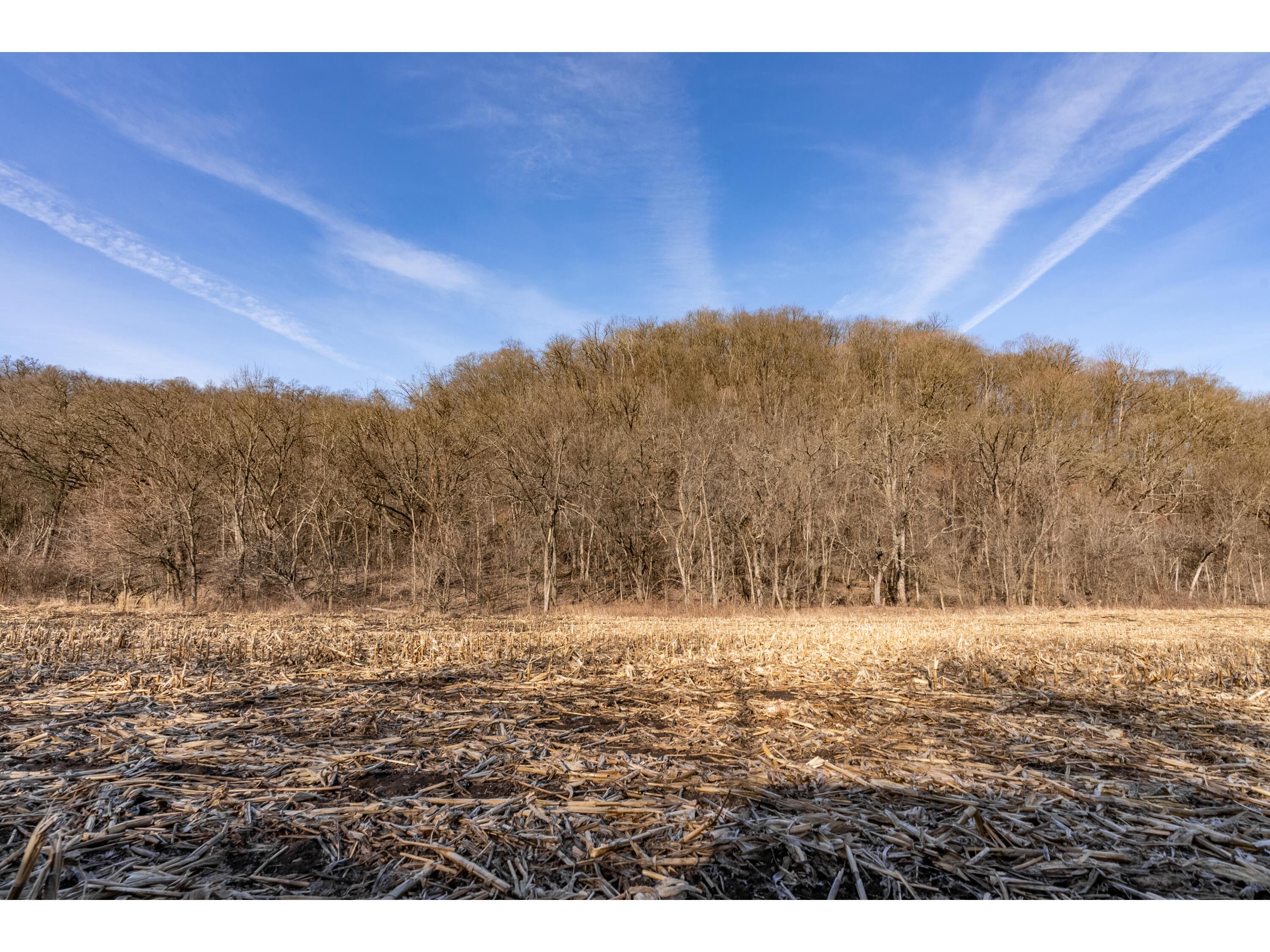 54008 Valentine Eastman WI 53826 1912101 image44