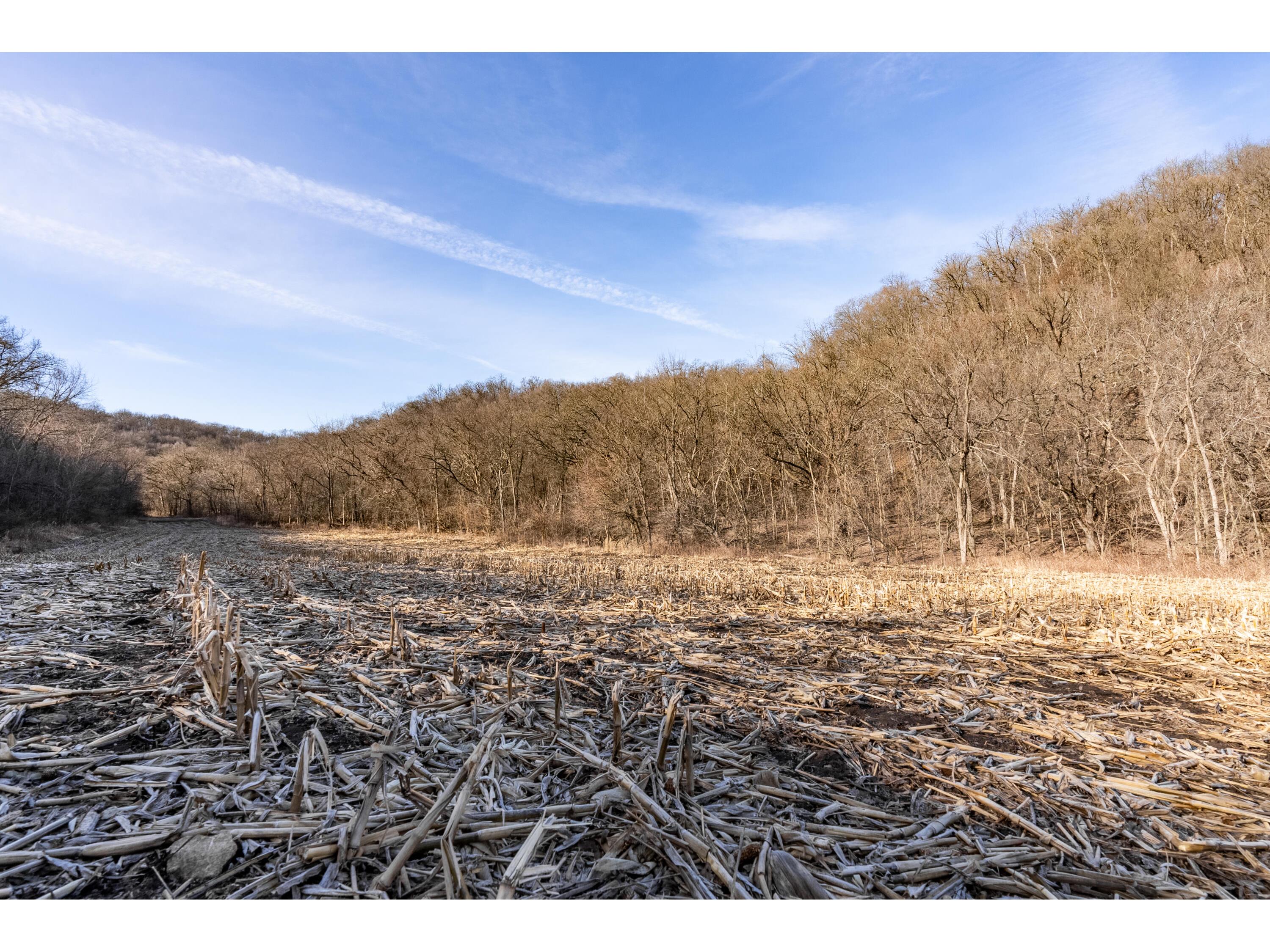 54008 Valentine Eastman WI 53826 1912101 image45