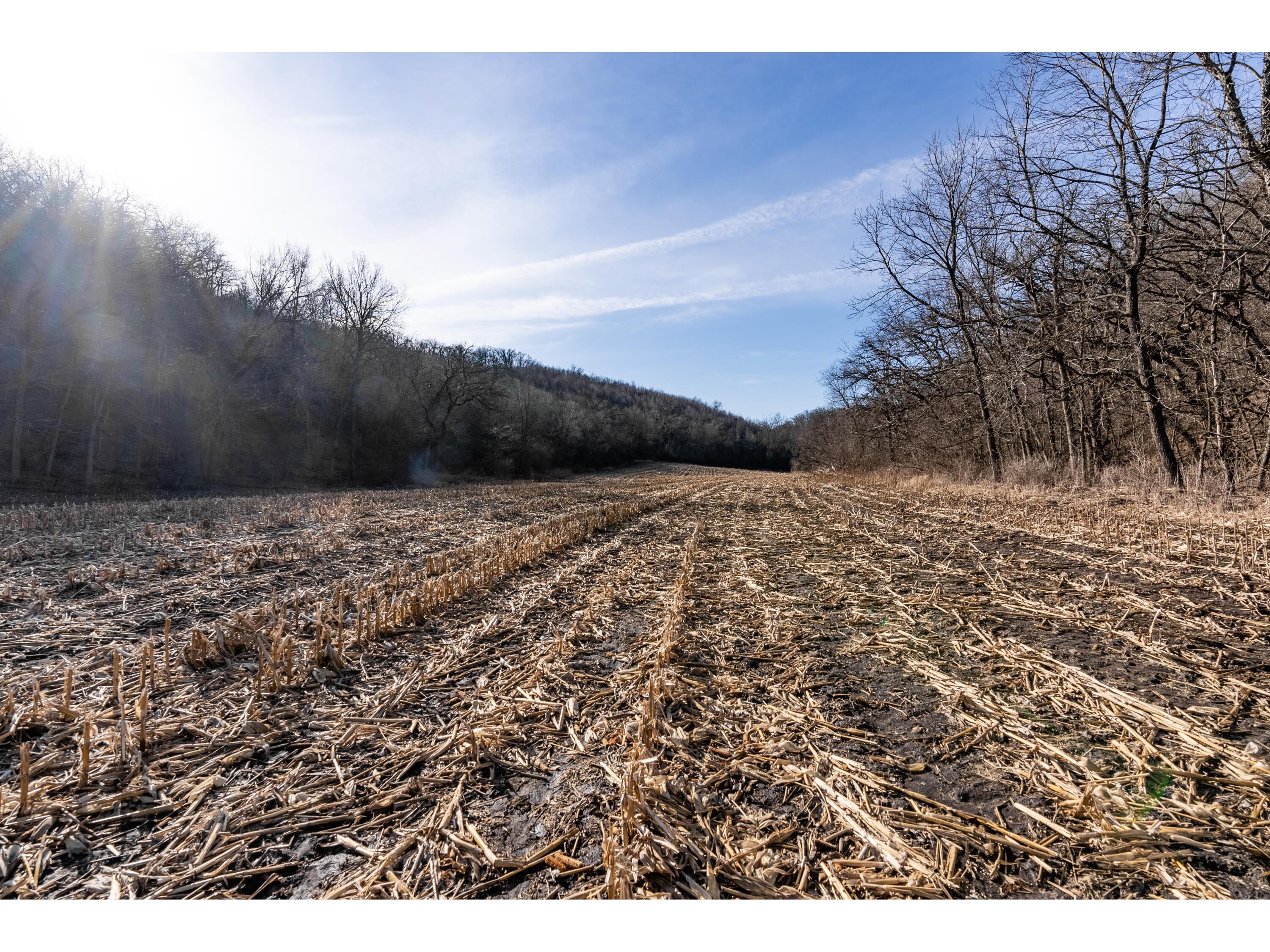 54008 Valentine Eastman WI 53826 1912101 image46