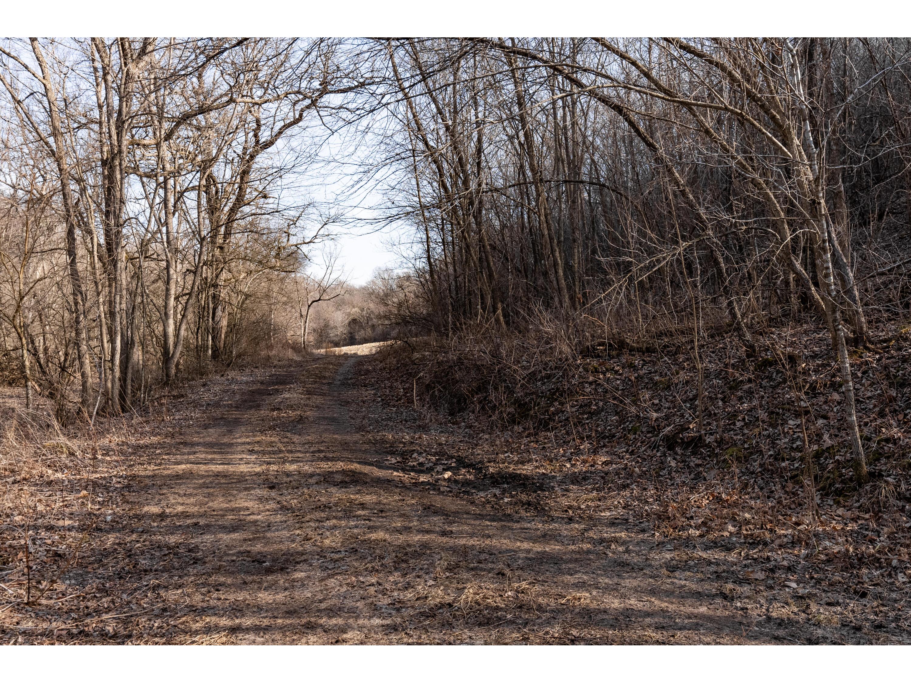 54008 Valentine Eastman WI 53826 1912101 image47