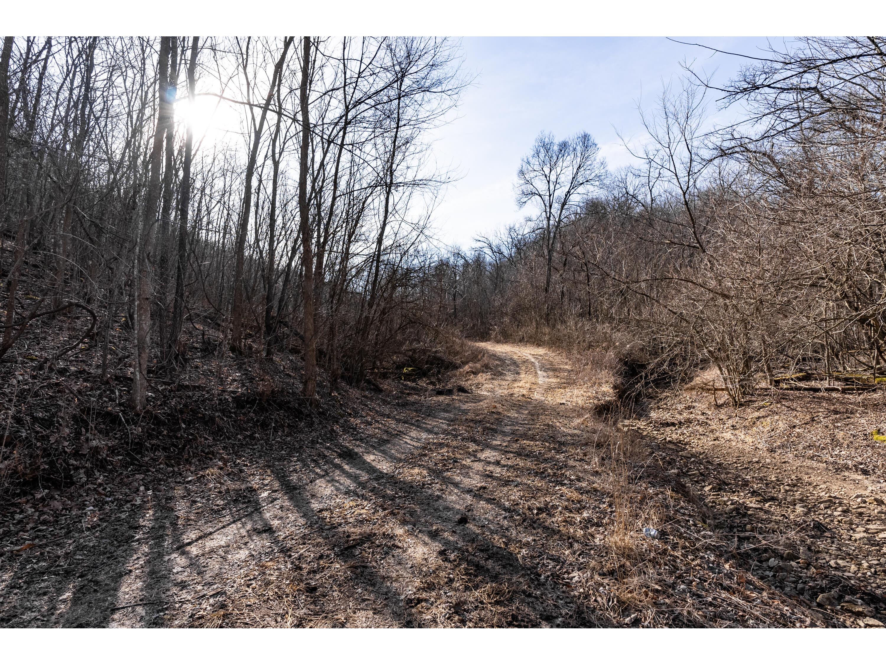 54008 Valentine Eastman WI 53826 1912101 image48