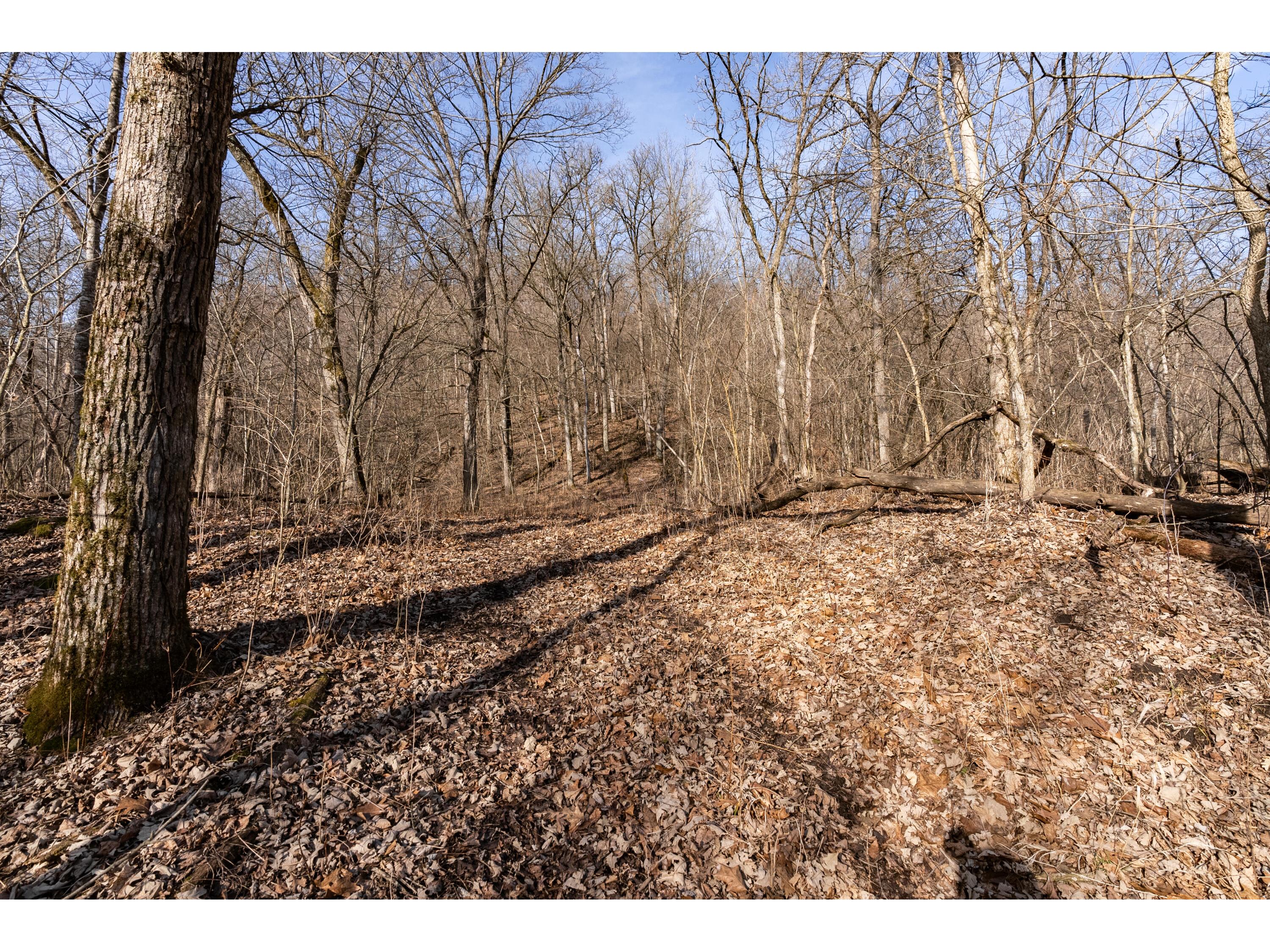 54008 Valentine Eastman WI 53826 1912101 image49