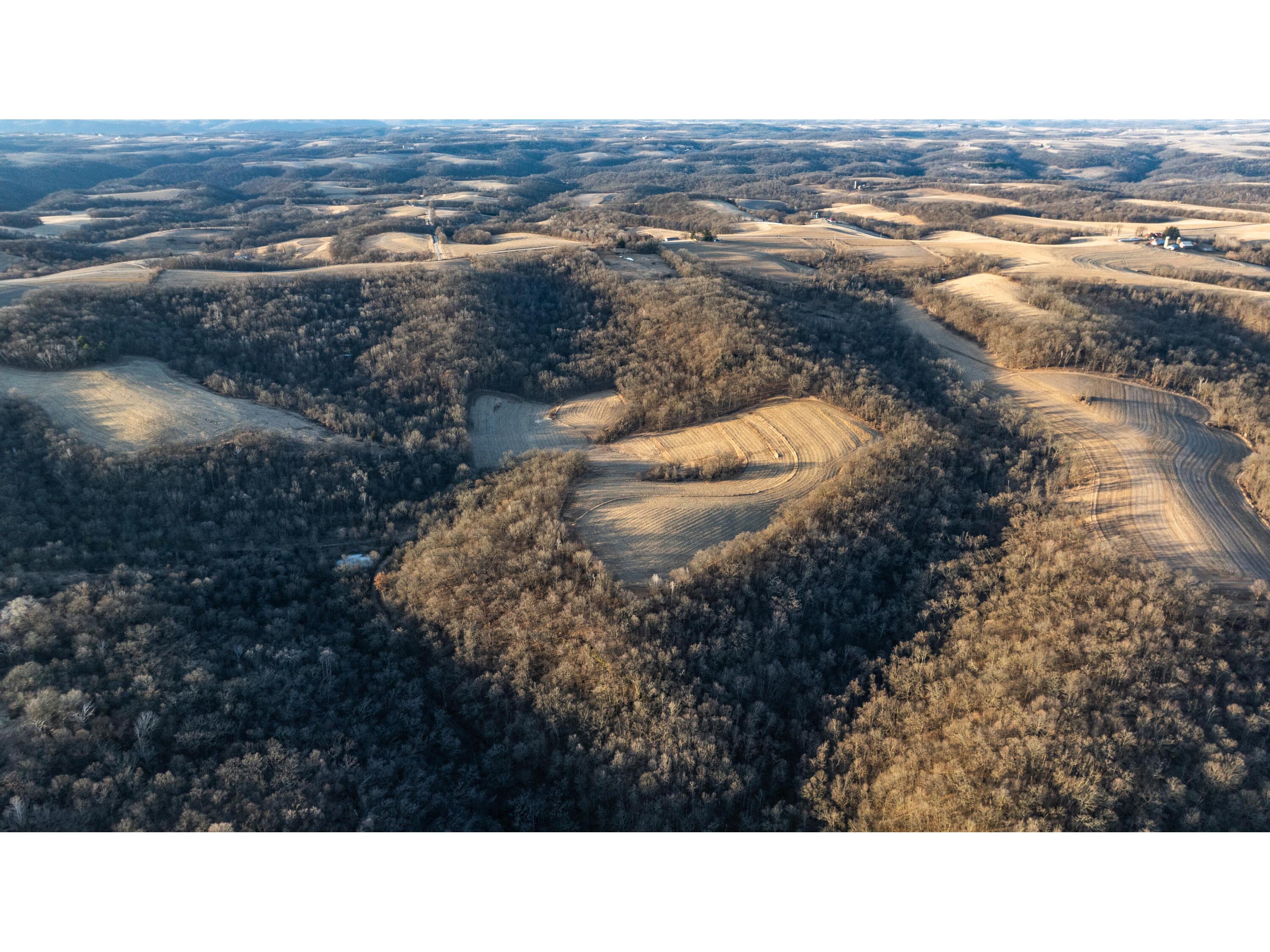 54008 Valentine Eastman WI 53826 1912101 image5