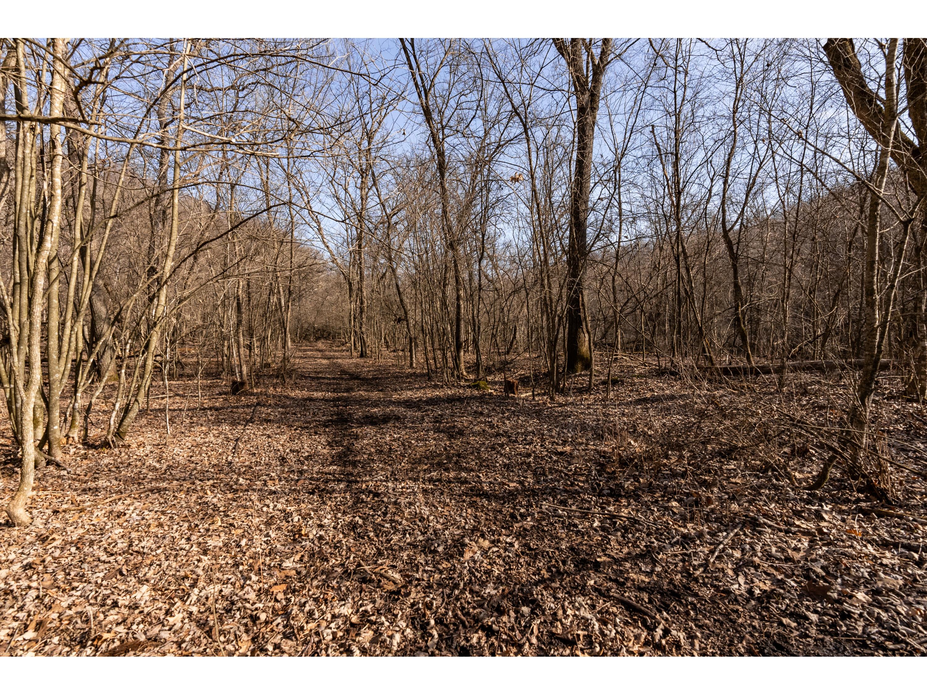 54008 Valentine Eastman WI 53826 1912101 image50