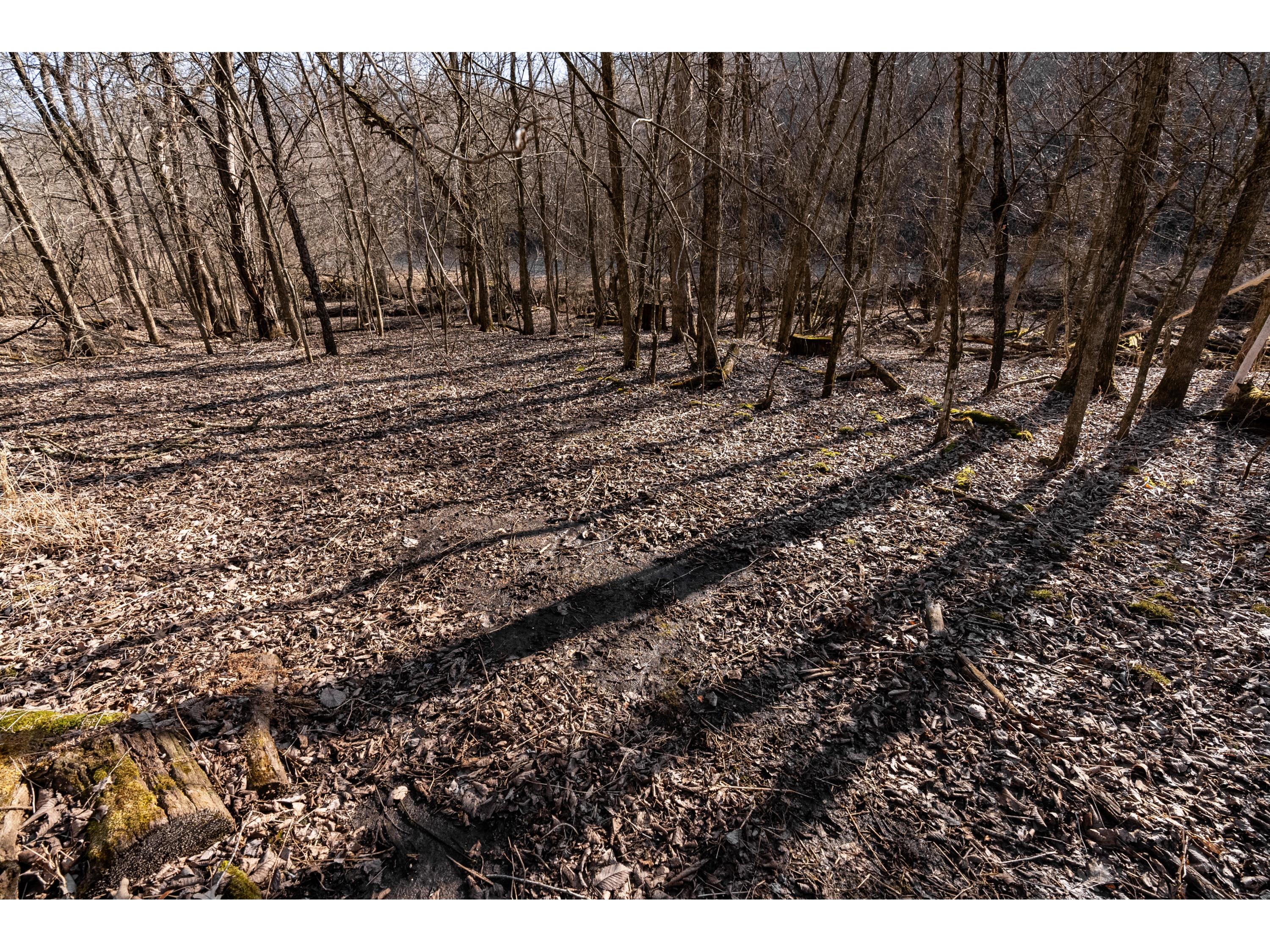 54008 Valentine Eastman WI 53826 1912101 image51