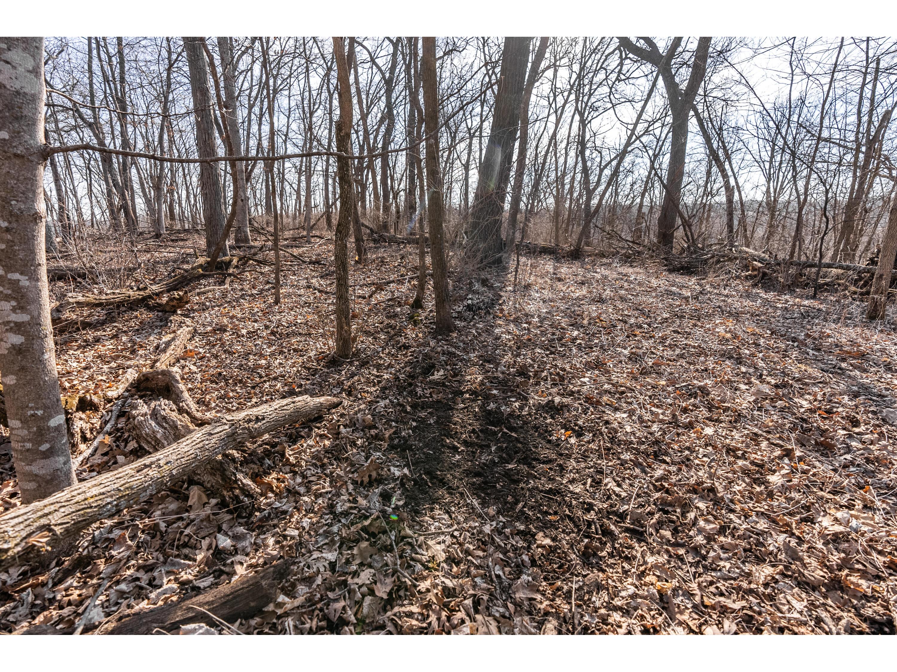 54008 Valentine Eastman WI 53826 1912101 image54