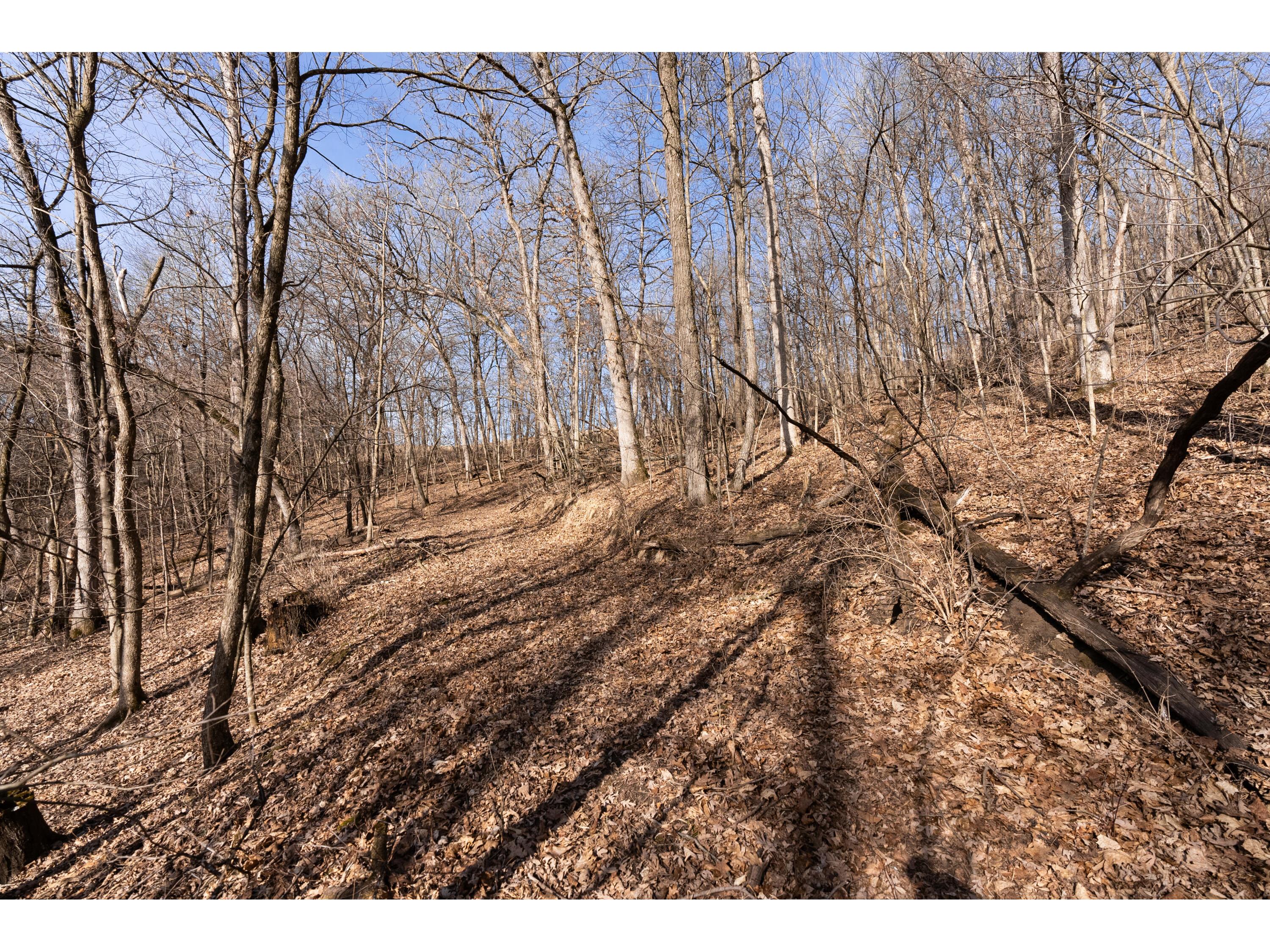 54008 Valentine Eastman WI 53826 1912101 image55