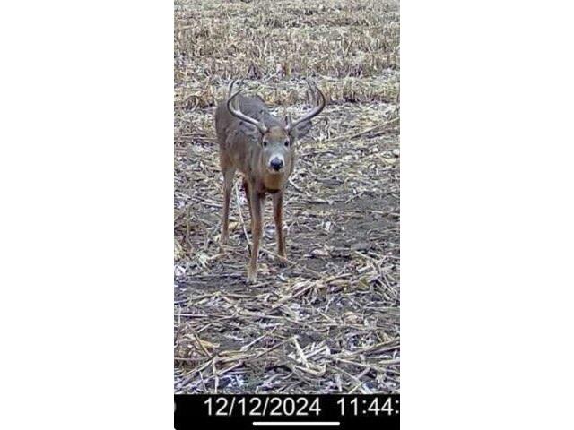 54008 Valentine Eastman WI 53826 1912101 image56