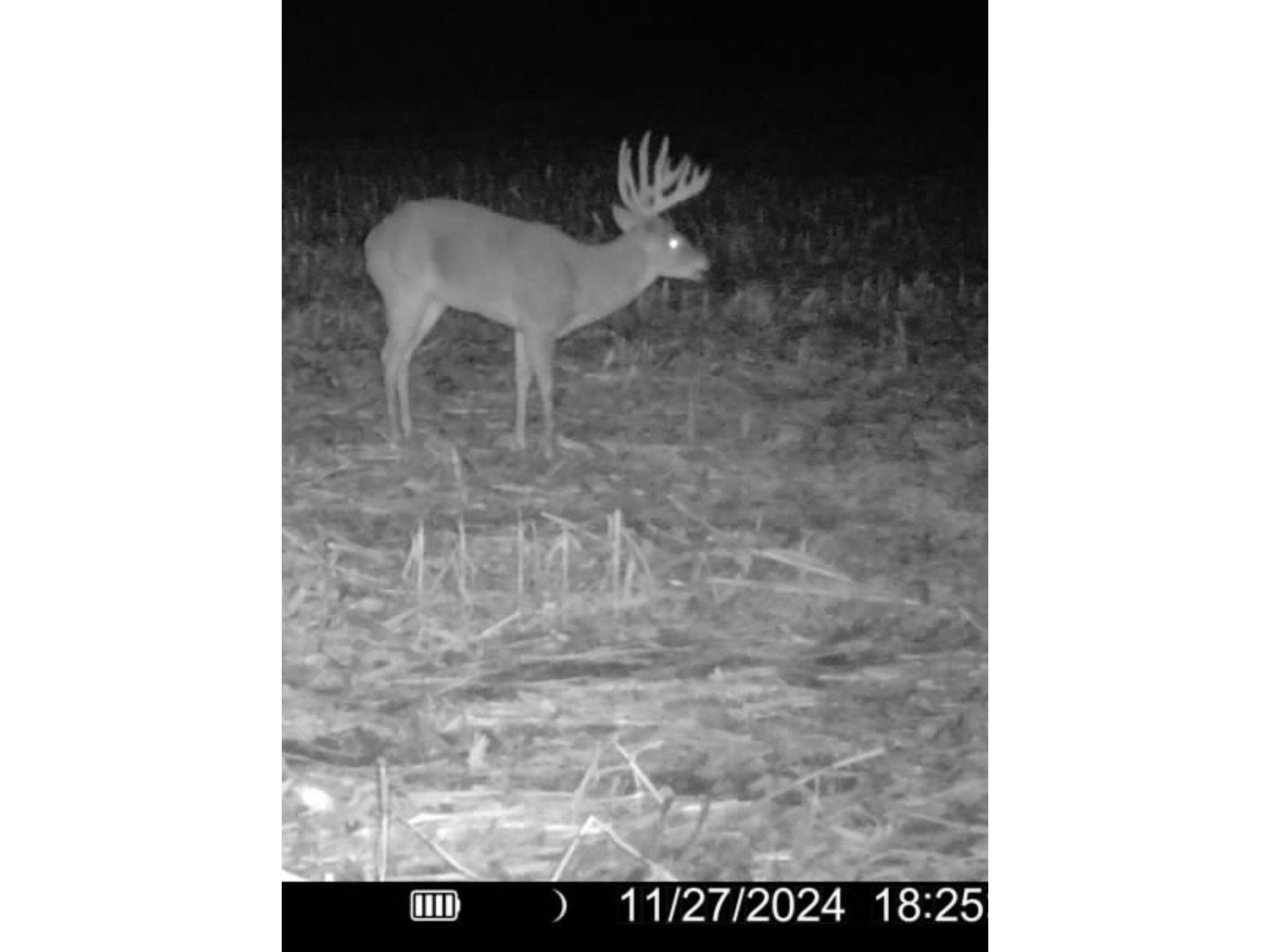 54008 Valentine Eastman WI 53826 1912101 image57