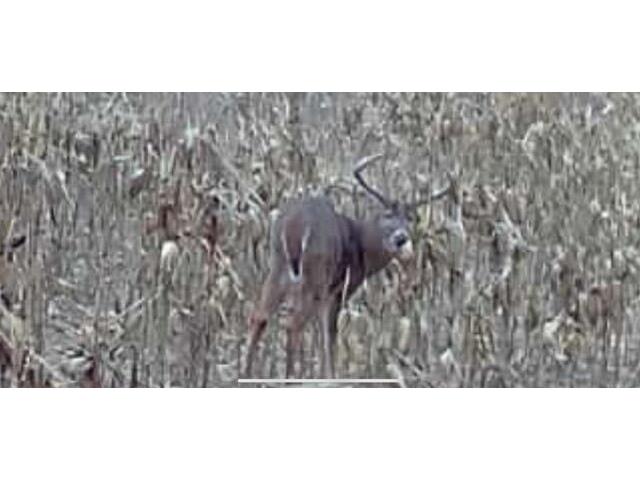 54008 Valentine Eastman WI 53826 1912101 image58