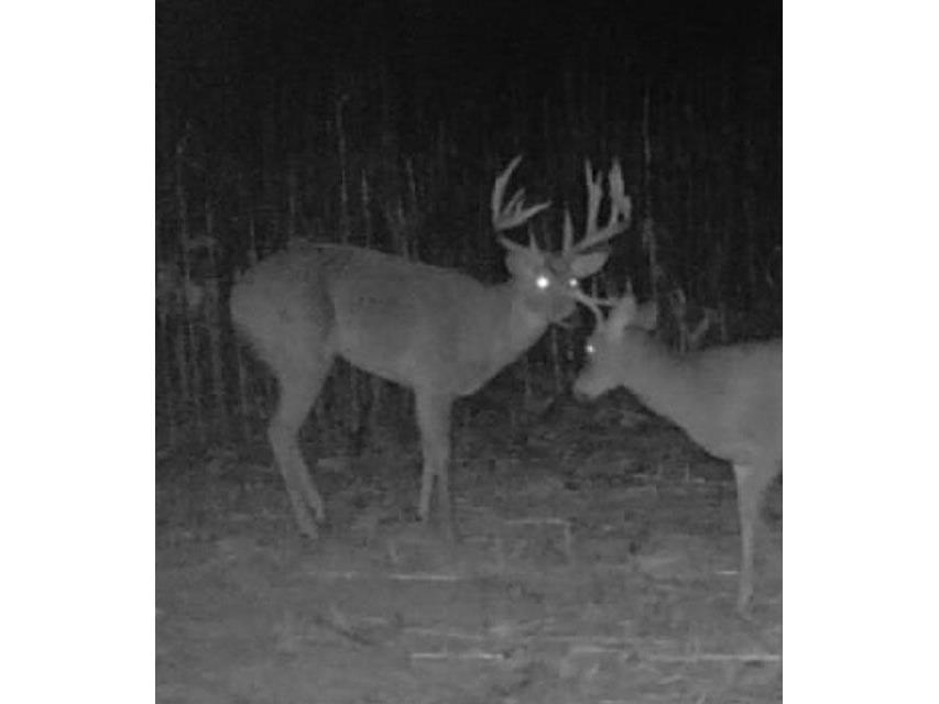 54008 Valentine Eastman WI 53826 1912101 image59