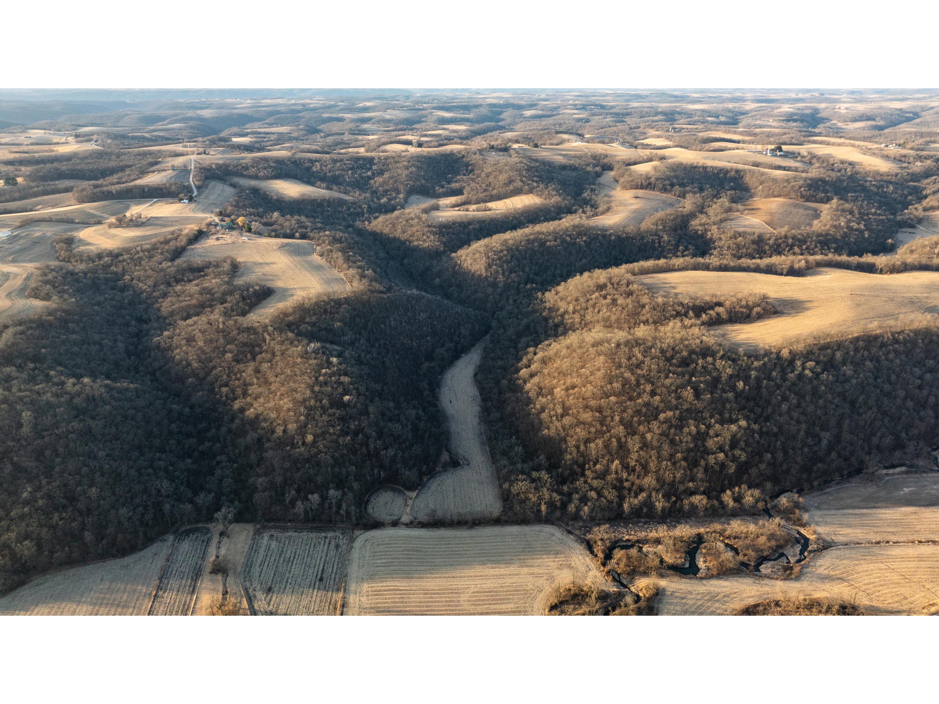 54008 Valentine Eastman WI 53826 1912101 image7