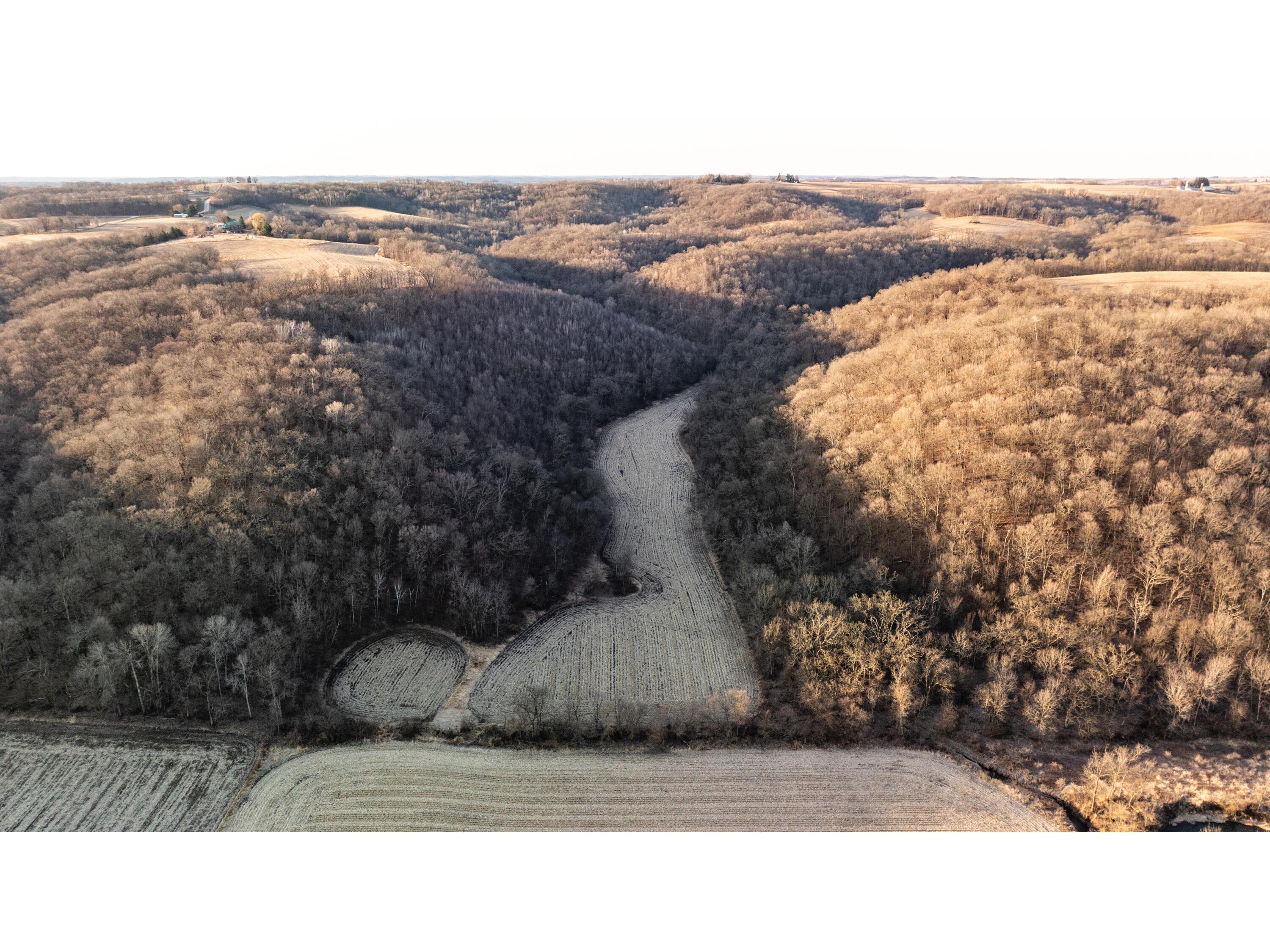 54008 Valentine Eastman WI 53826 1912101 image8