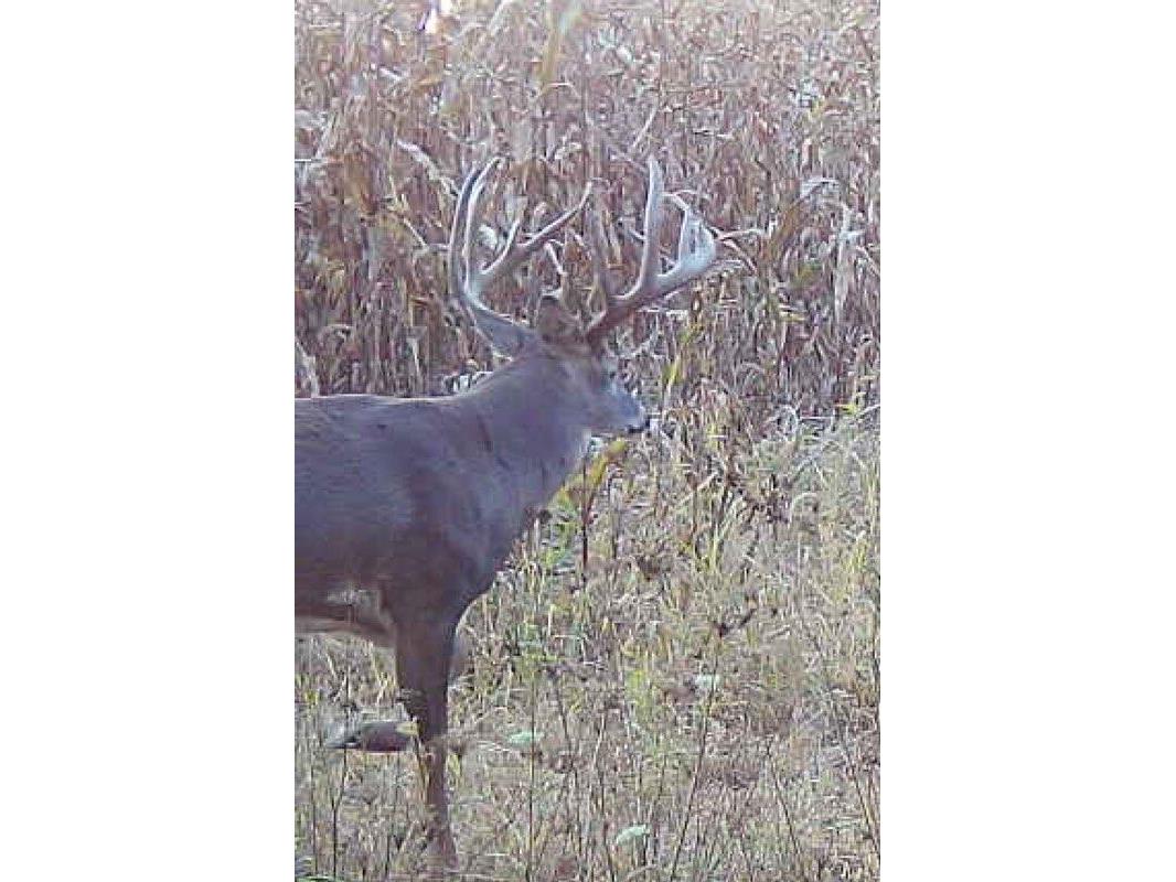 54008 Valentine Eastman WI 53826 1912101 image9