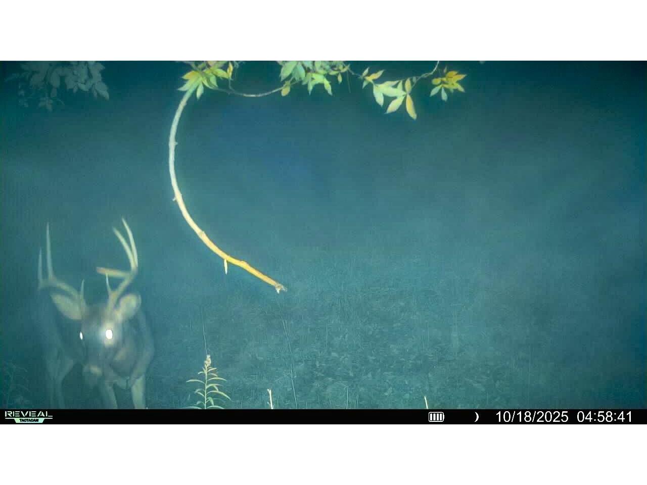 54982 Smith Utica WI 54628 1943510 image1