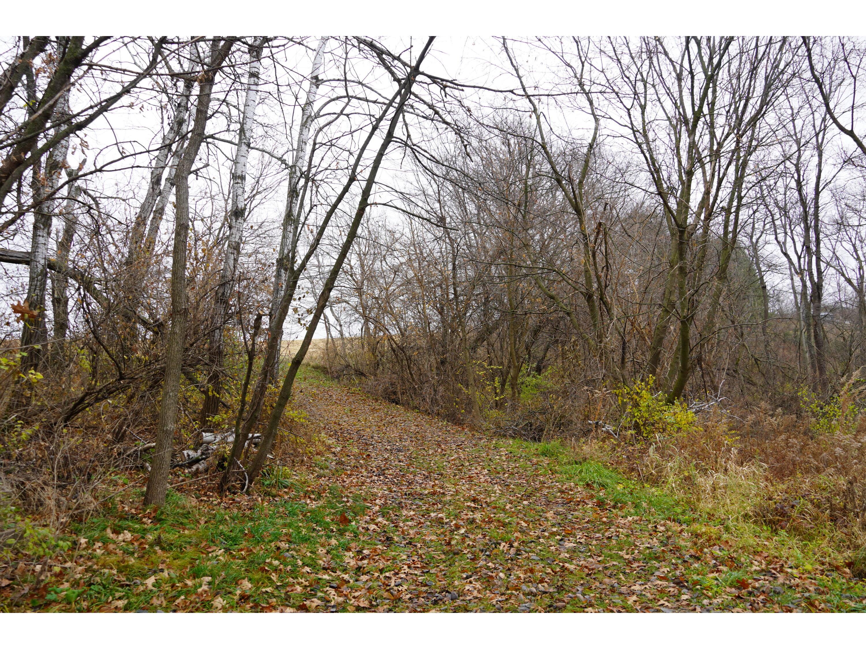 55305 Stoney Point Seneca WI 54654 1943527 image1