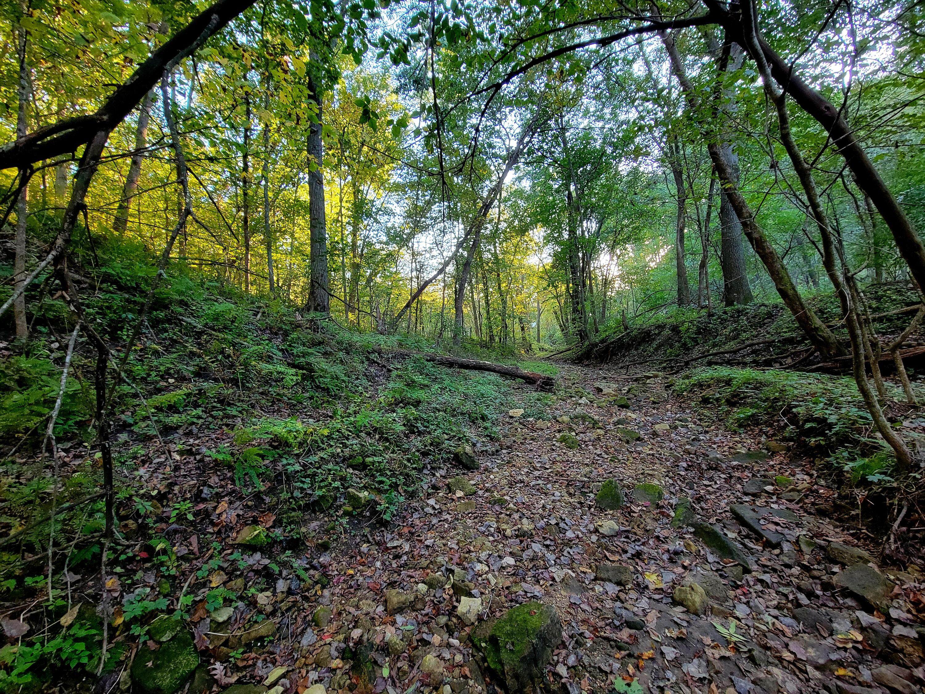 58828 LIGHTFOOT HILLS Seneca WI 54628 1894178 image1