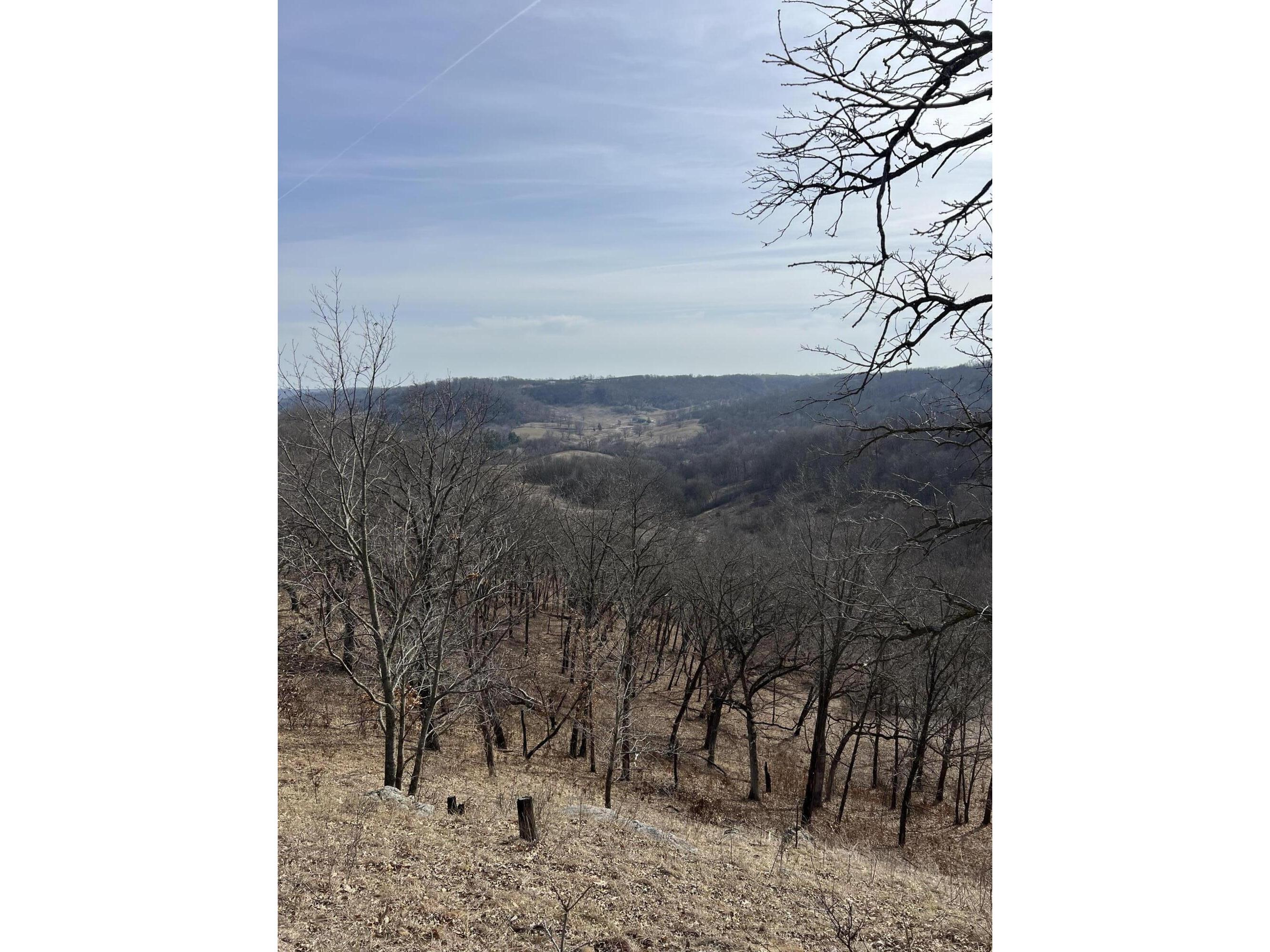 59310 Lucky Seneca WI 54626 1879463 image1