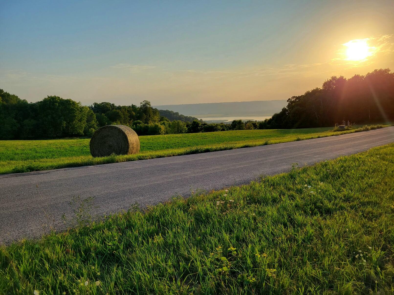 65566 DESOTO RIDGE Freeman WI 54624 1848144 image1