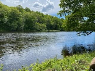 6793 N Riverside Ojibwa WI 54862 - Chippewa River 1868946 image1