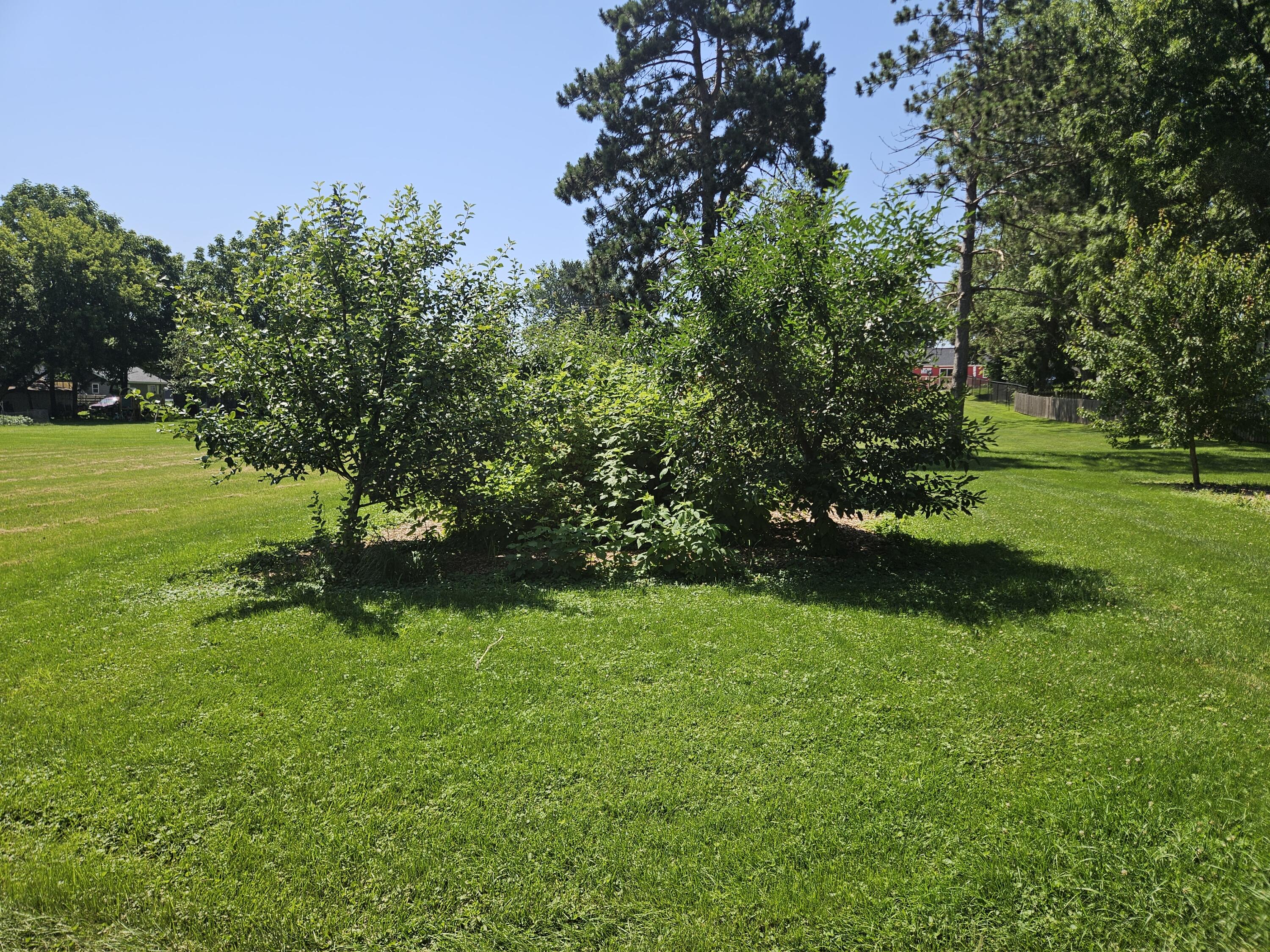 717 Austin St Sparta WI 54656 1970909 image37