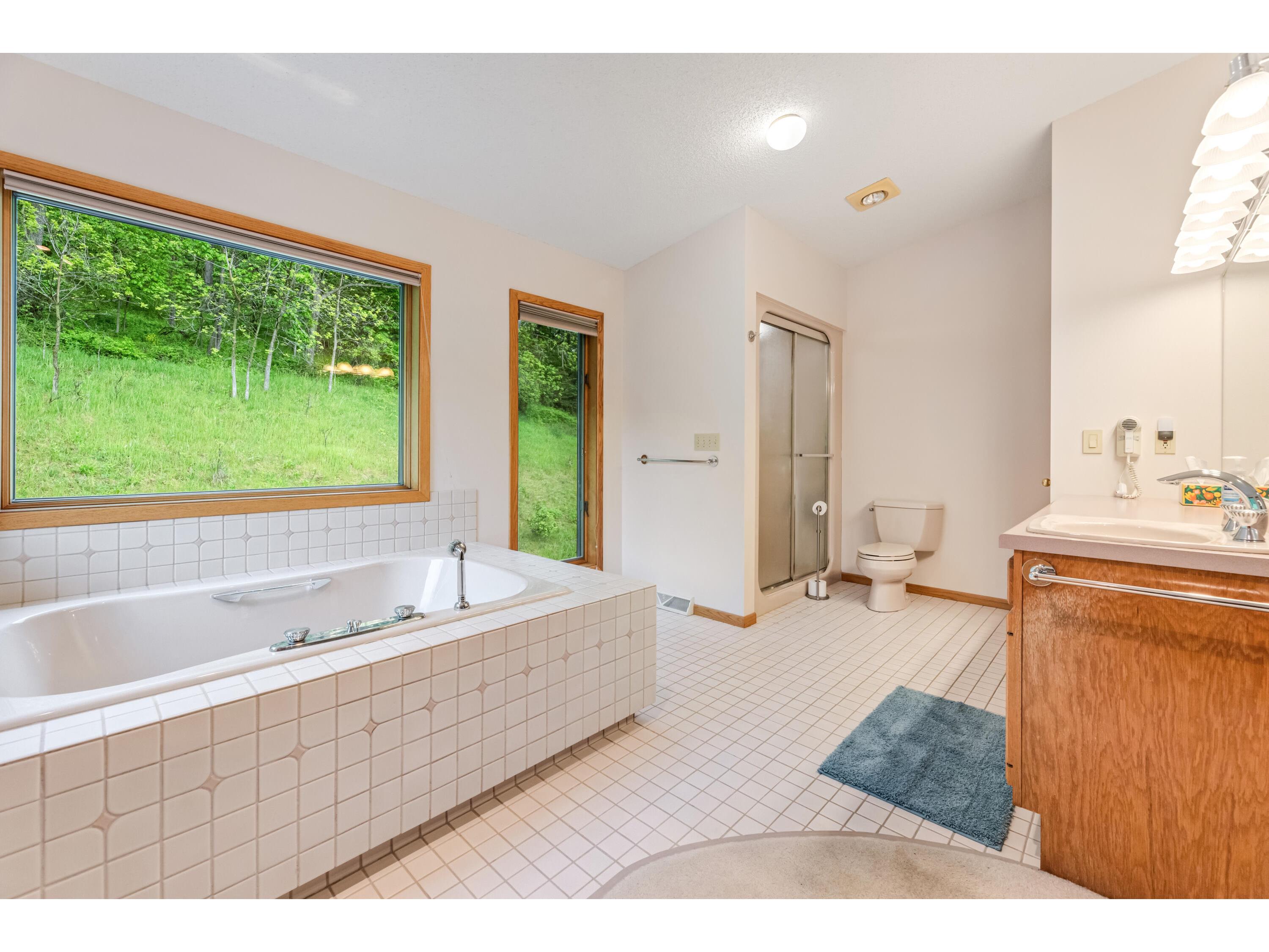 718 Spring Brook Wilson MN 55987 1963144 image20