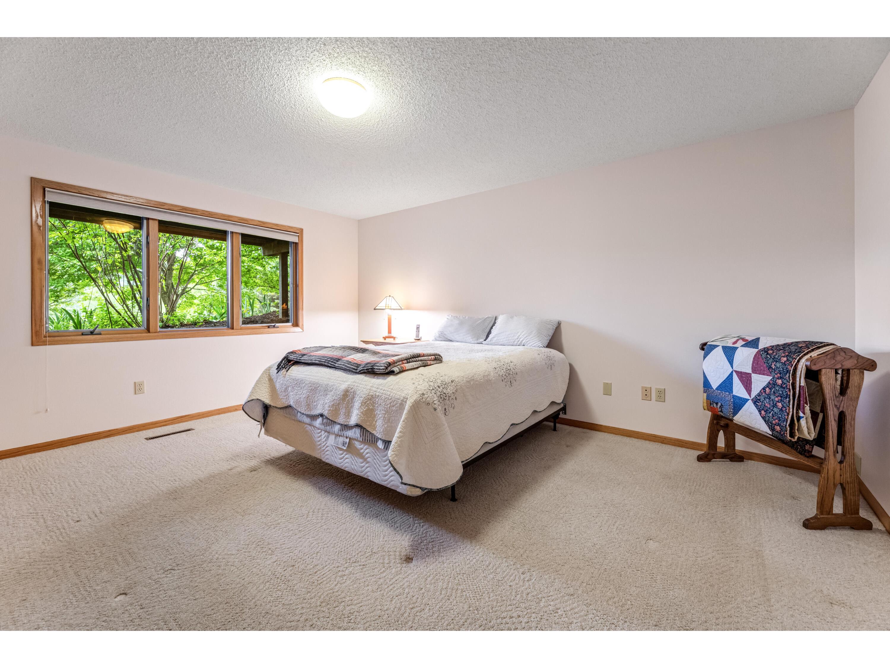 718 Spring Brook Wilson MN 55987 1963144 image26